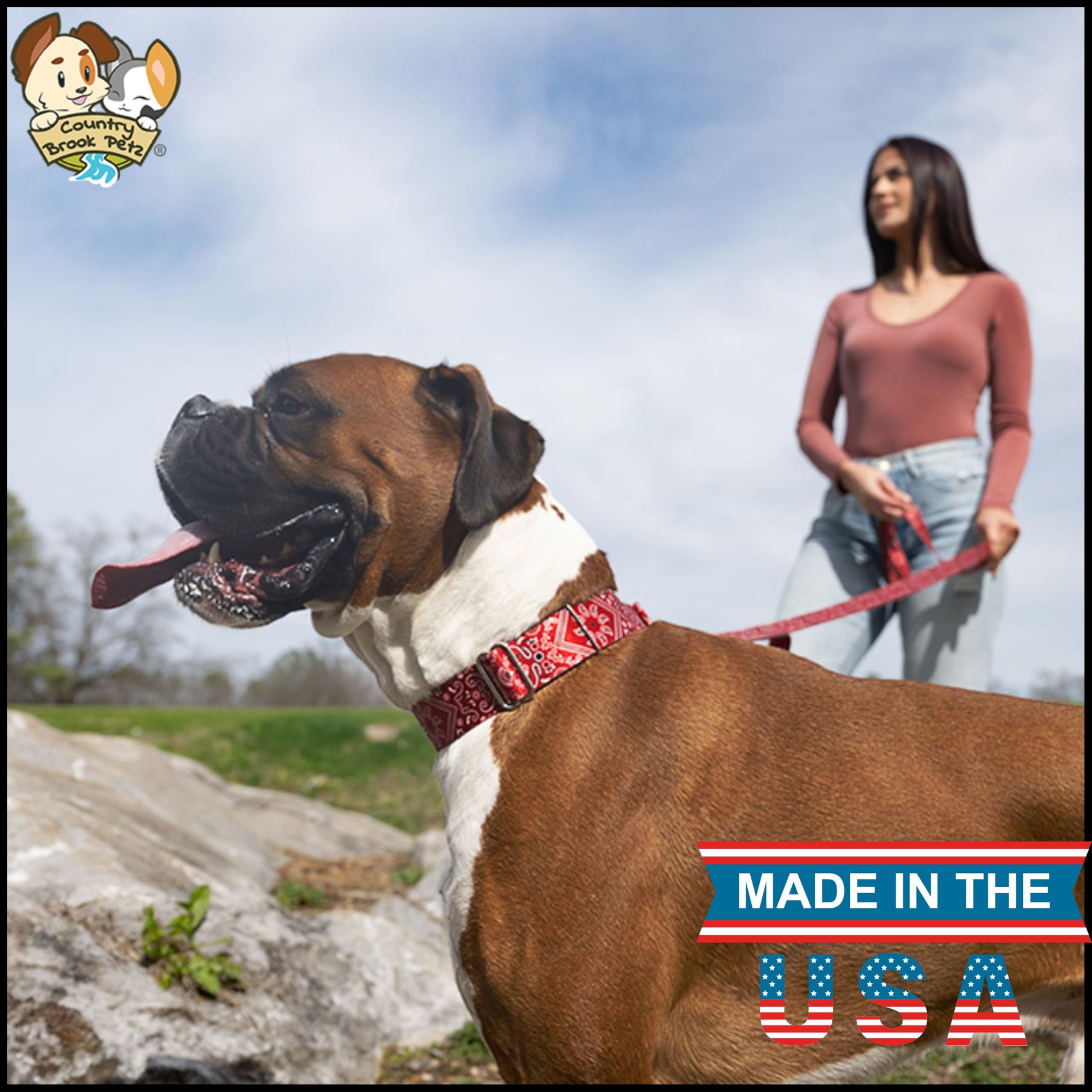 Country Brook Petz - Red Bandana Martingale Dog Collar - Country And Western Collection Featuring Rustic Designs (1/2 Inch, Extr