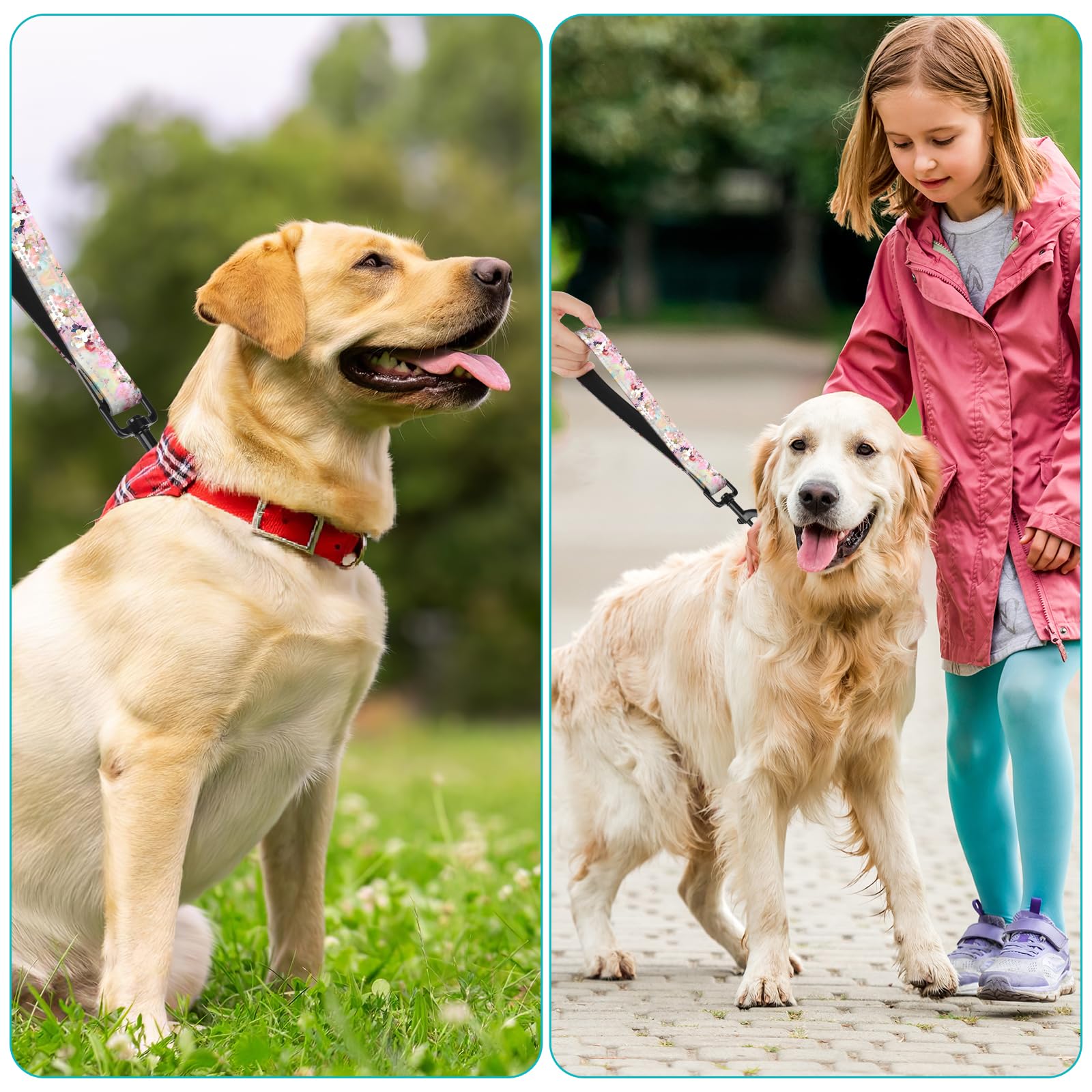 Daffodil Nylon Short Dog Leash For Training Control - Reflective, Padded Handle For Large & Medium Dogs