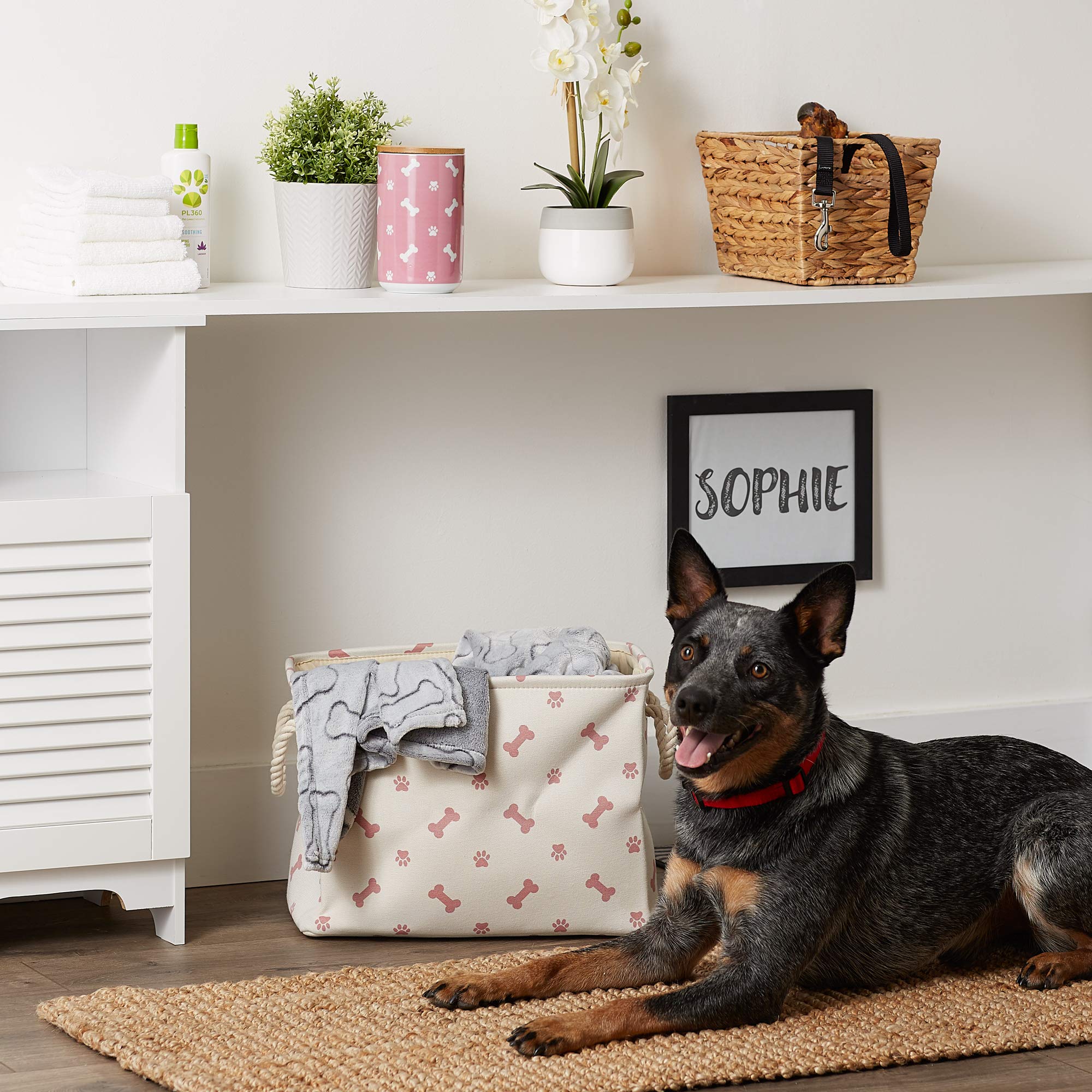 Bone Dry Pet Storage Collection Paw and Bone Print, Medium Rectangle, 16x10x12, Rose