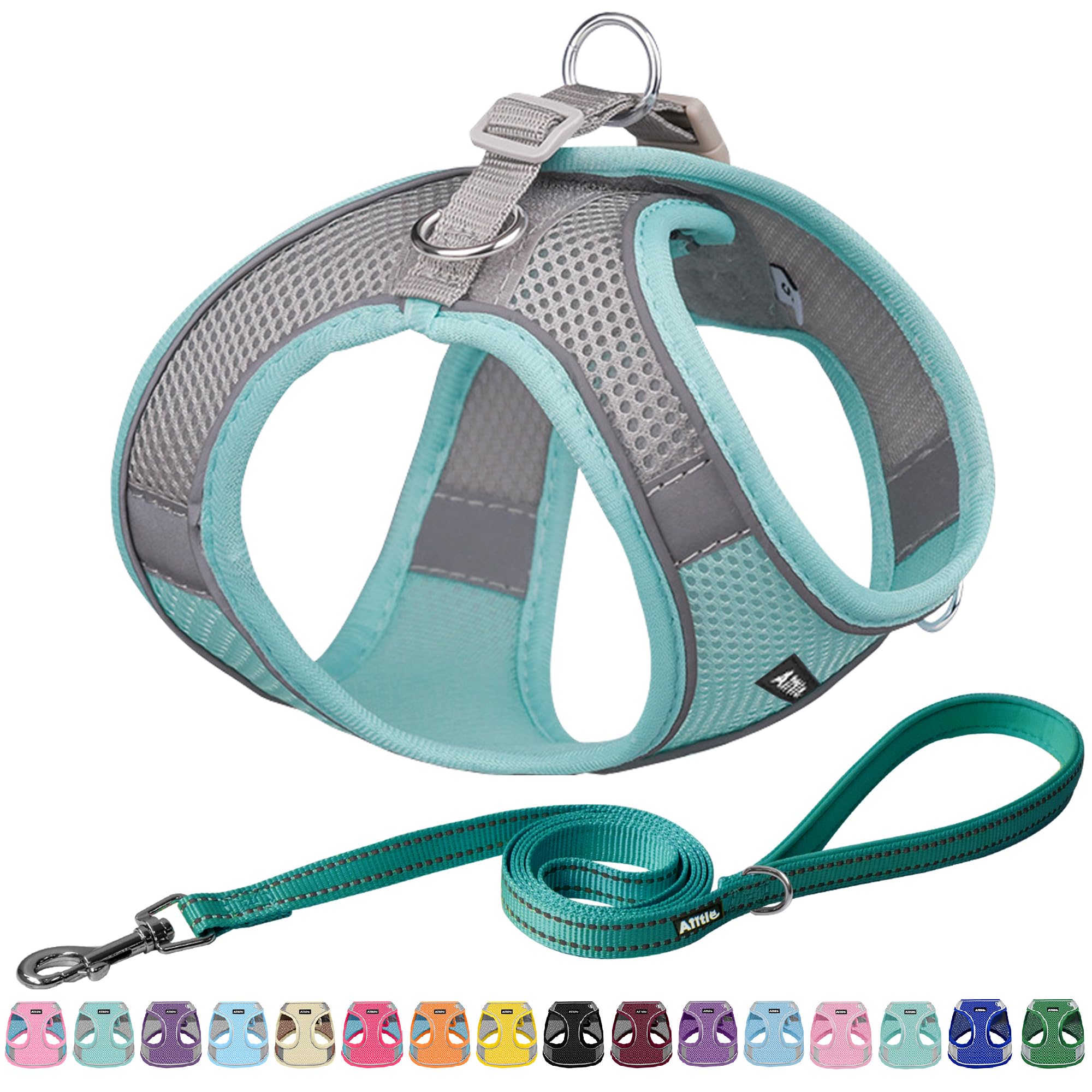 Aiitle Step In Dog Harness And Leash Set - Spring No Pull Escape Proof Vest Harnesses With Soft Mesh And Reflective Bands, Adjus