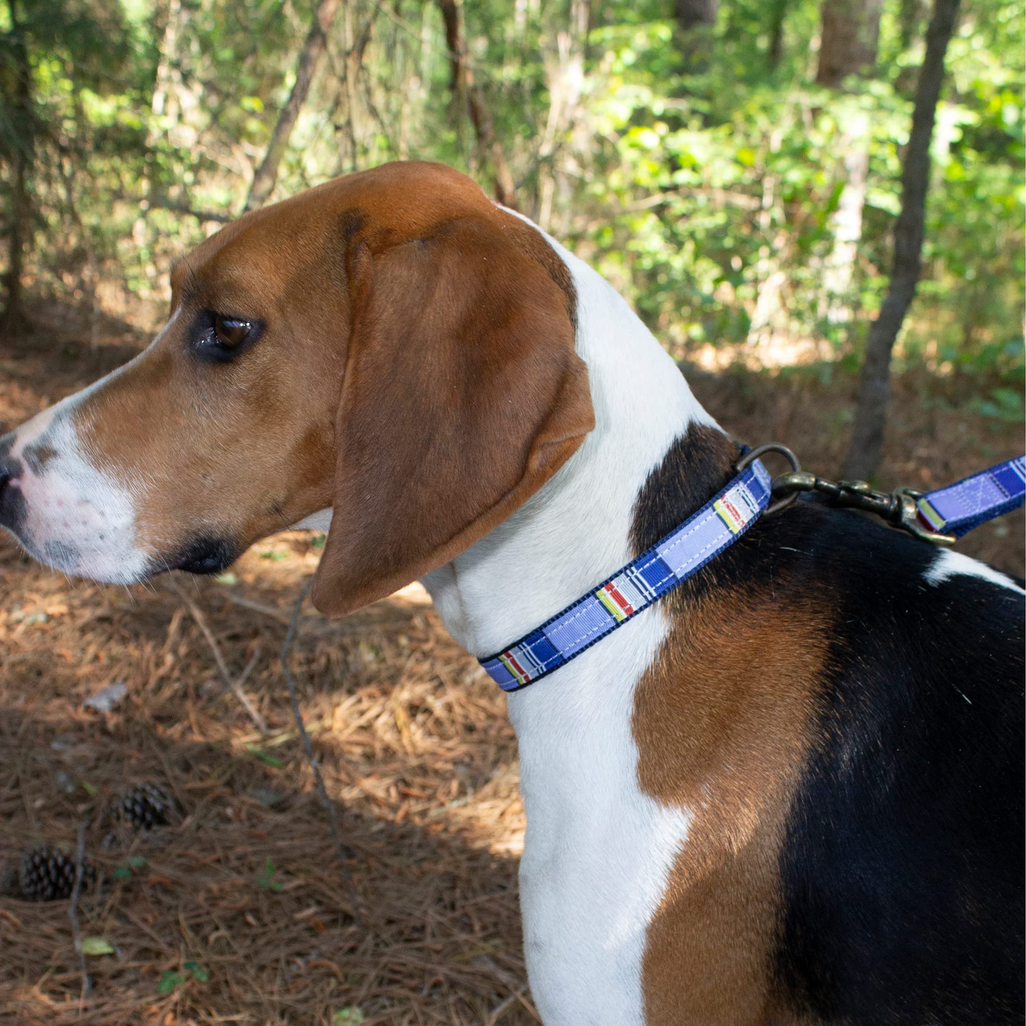 Pendleton Pet National Park Hiker Collar (L, Yosemite)