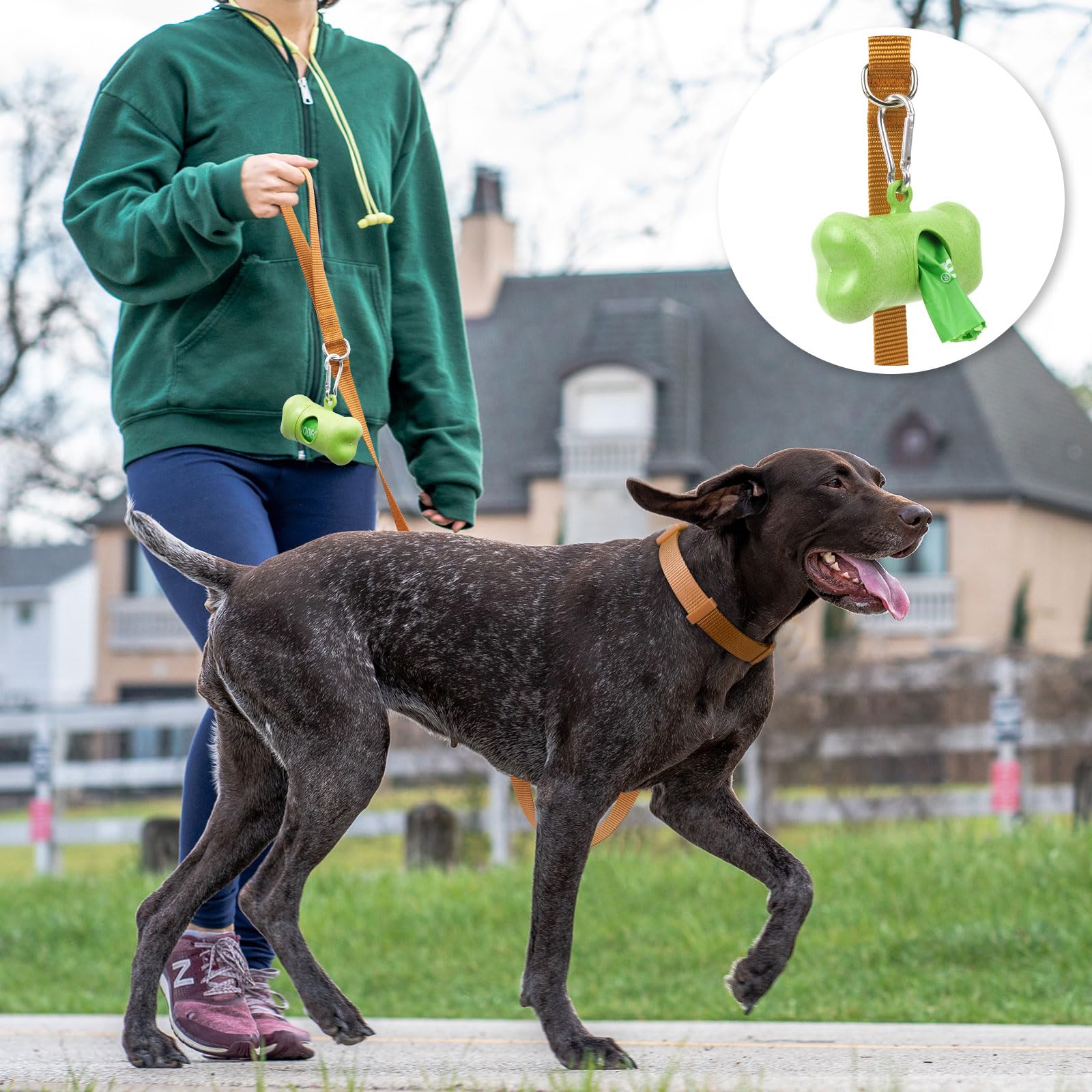 Azuza Nylon Fall Dog Collar And Leash Set, Strong & Durable Basic Style Leash With Easy To Use Collar Hook, Available In Multipl