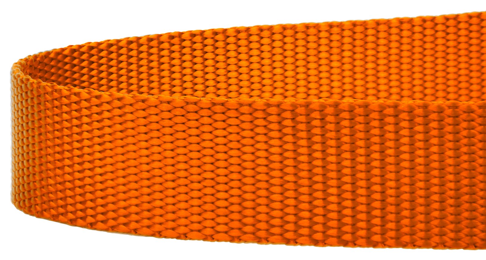 Country Brook Petz - 1 Inch Solid Color Nylon Dog Leash - Durable Clip - Soft Handle (1 Inch Wide, 4 Foot, Orange)