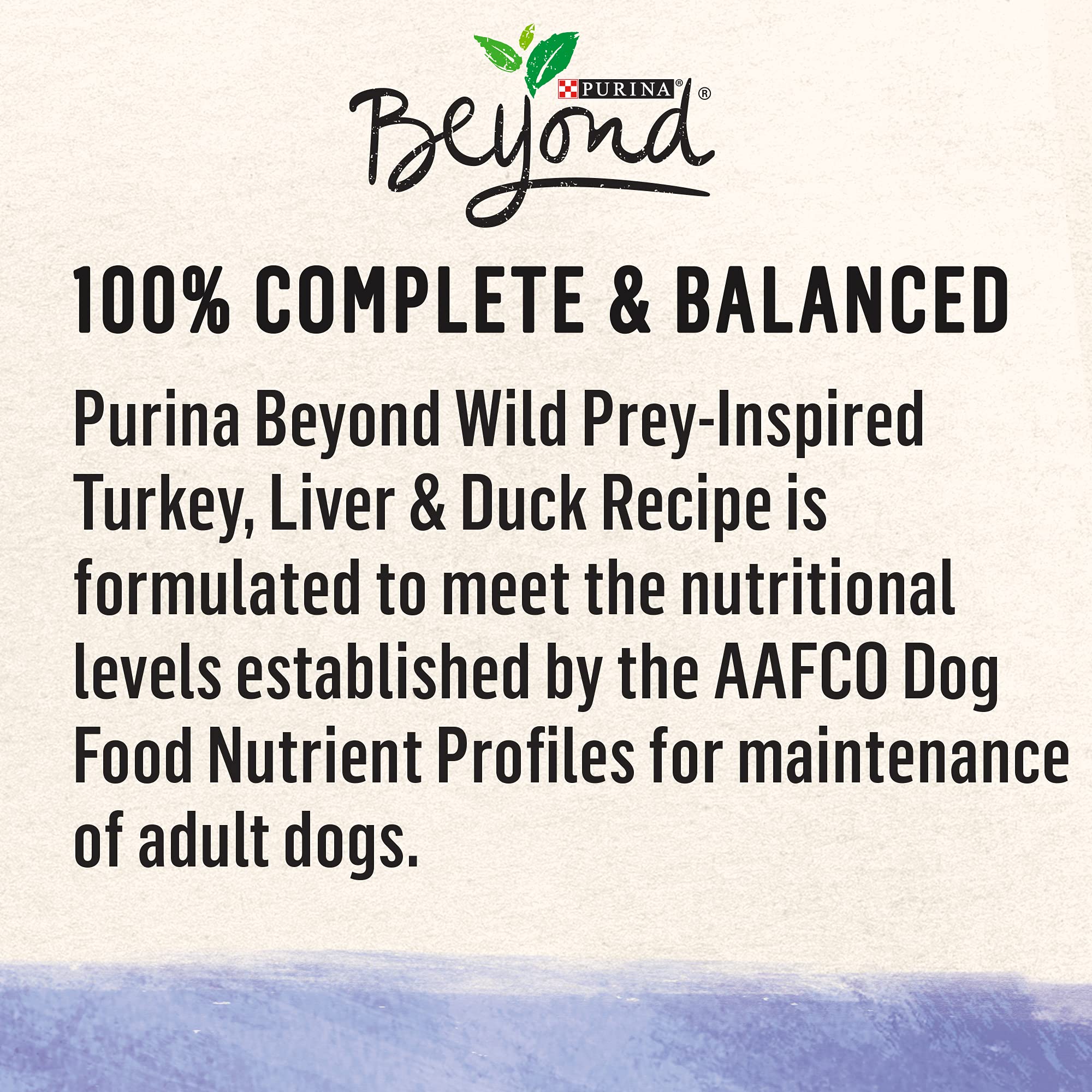Purina Beyond High Protein, Grain Free, Natural Pate Wet Dog Food, WILD Turkey, Liver & Duck Recipe - (12) 13 oz. Cans