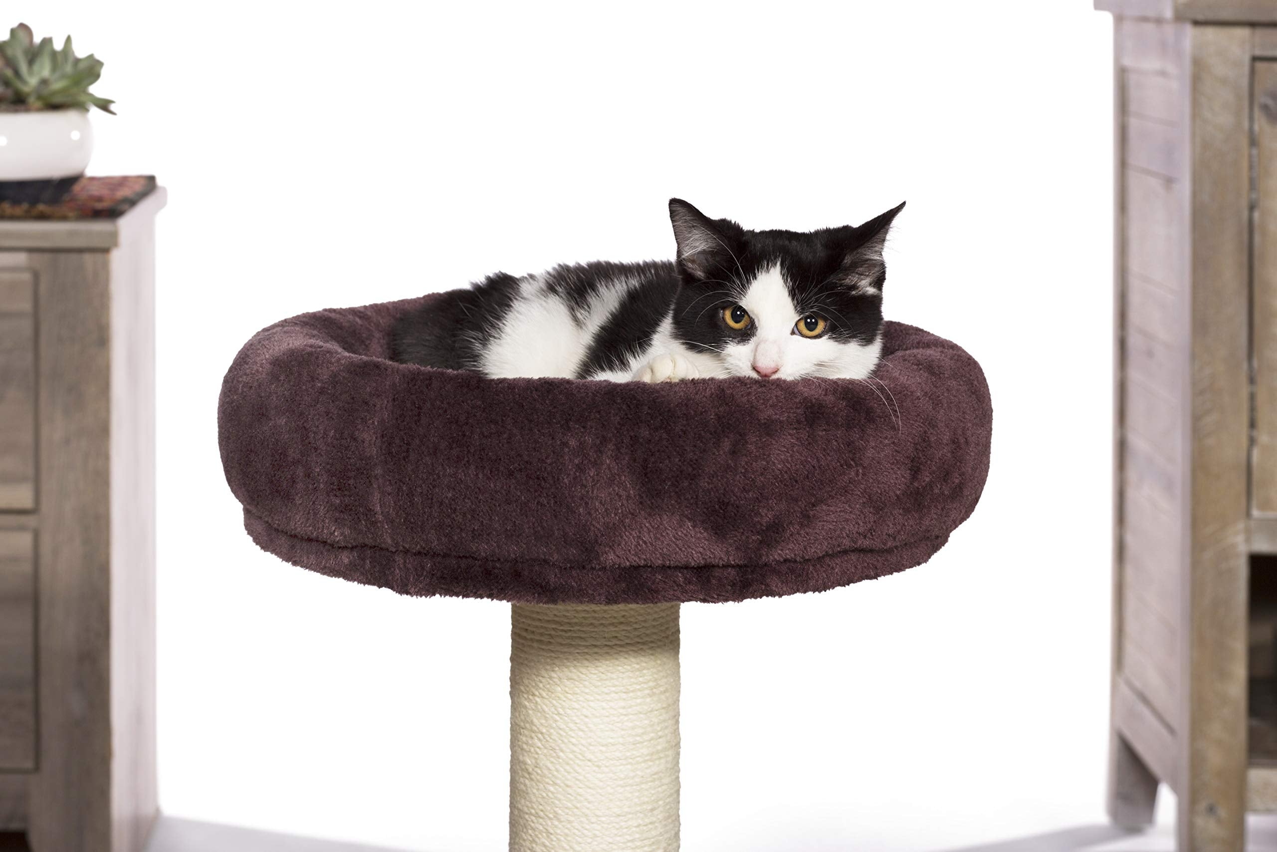 Prevue Hendryx Kitty Power Paws Kitty King