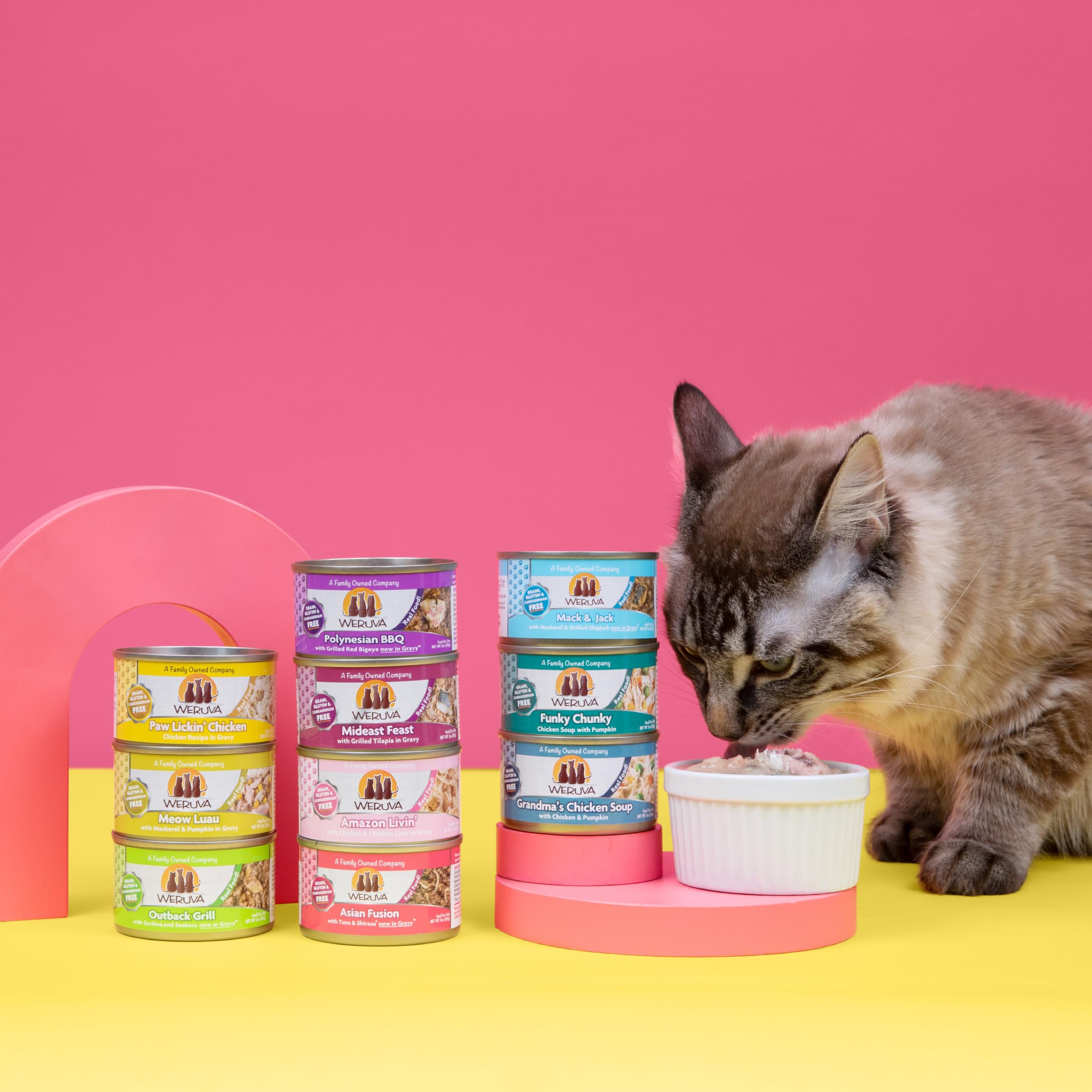 Weruva Classic Cat Food, Green Eggs & Chicken with Chicken Breast & Egg in Pea Soup, 3oz Can (Pack of 24)