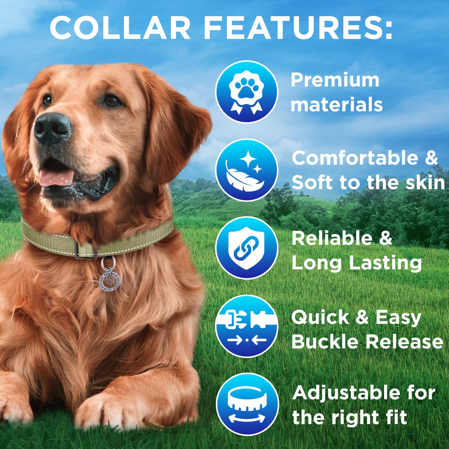Teceum Reflective Pet Collar - Olive - Xxs - Extra Soft Padding - Basic Nylon Dog Collar - Quick Release Buckle - Fits Small, Me