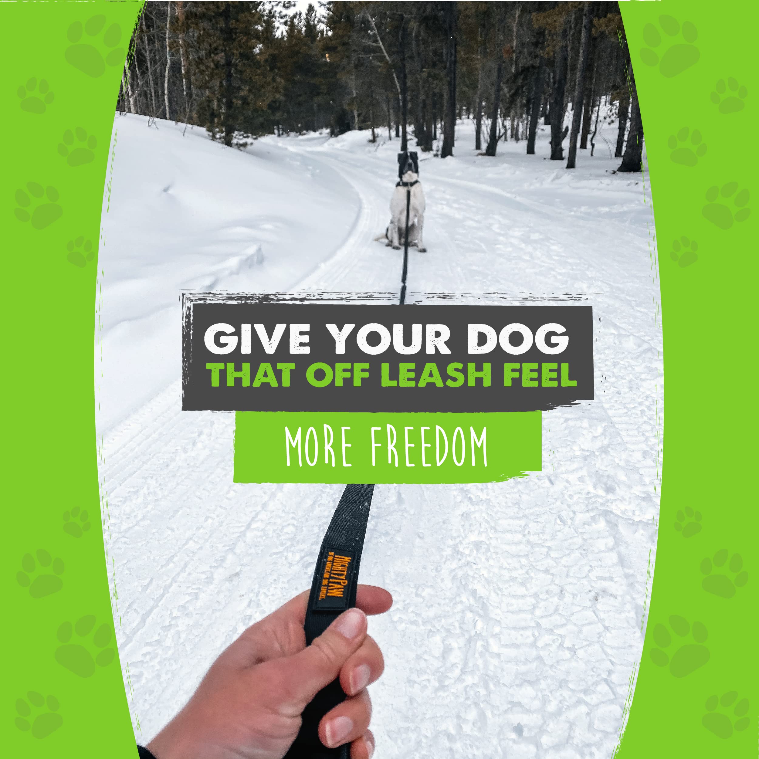 Mighty Paw Long Dog Leash - Premium Leash For Off-Leash Recall Training - Includes Buckled Padded Handle - Suitable For Yard - Pet Yard Leash - Camping And Dog Lead Training - (30 Feet, Black)