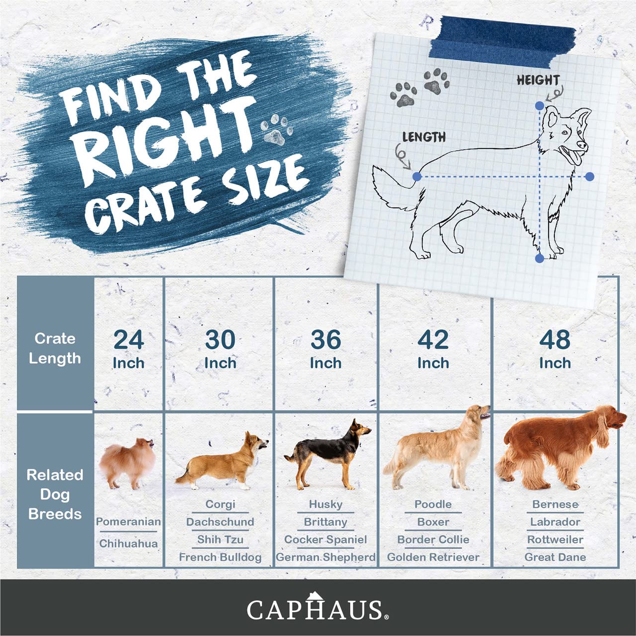 Caphaus Foldable Dog Crate Wire Metal Kennel W/Leak-Proof Pan & Protecting Feet & Divider Panel, Single Or Double Door, Small, Medium & Large Dog Crate Indoor Wire Dog Cage, 36?W/Double Doors