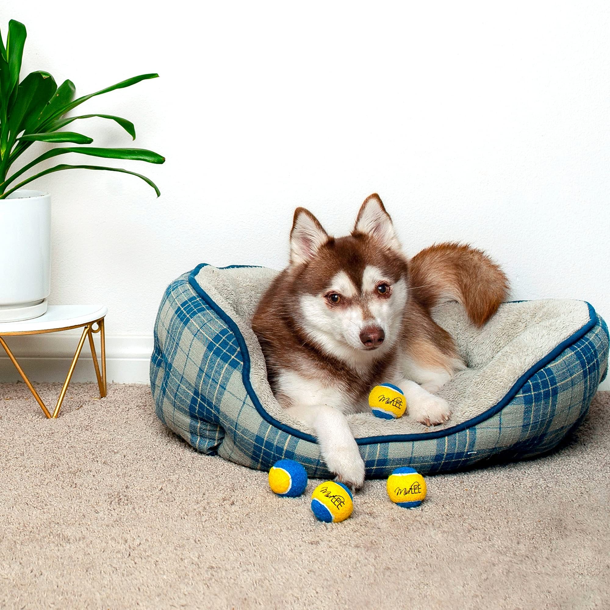 Midlee Mini Dog Tennis Balls - Blue/Yellow- Pack Of 4