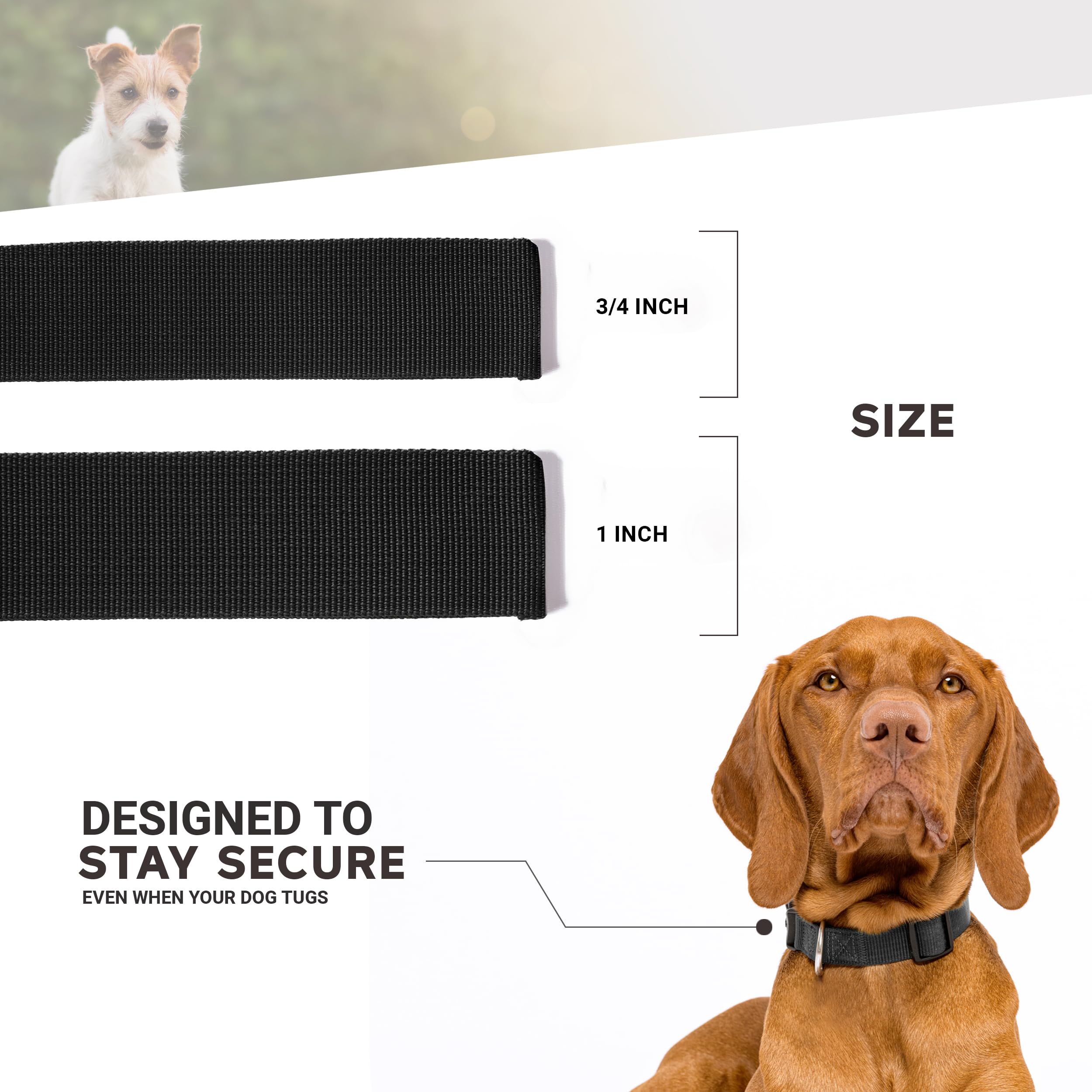 University Of Wisconsin Dog Collar - Deluxe Adjustable Dog Collars, 1' Wide Collar Adjusts 13 - 21', Large, Red Badger