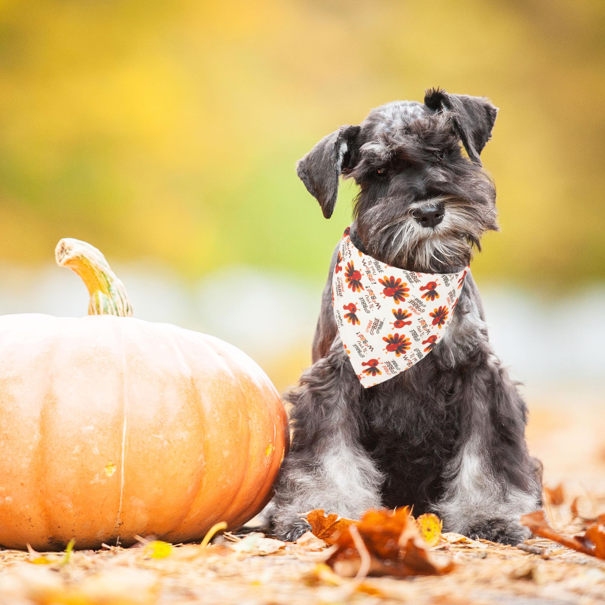 Adoggygo Thanksgiving Dog Bandana Fall Autumn Pet Bandana Reversible Triangle Bibs Scarf Accessories For Small Dogs Pets (Small,