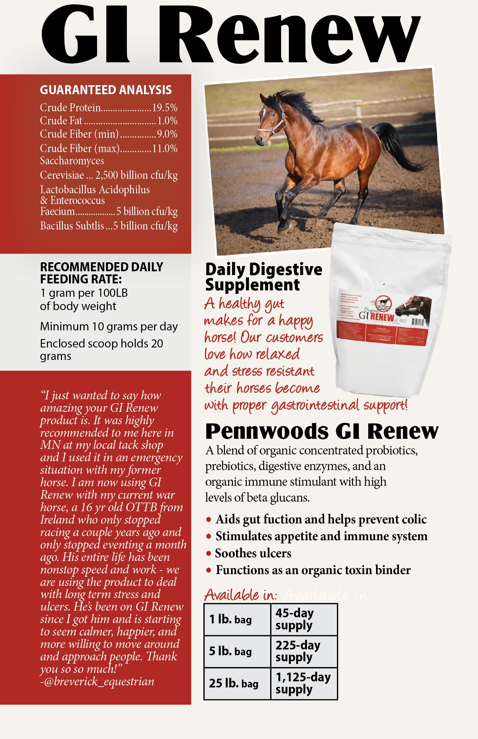 Pennwoods GI Renew, Probiotics for Equine, Immune and Appetite Stimulation, Prebiotics, Digestive Enzymes | Horse Supplement Pro