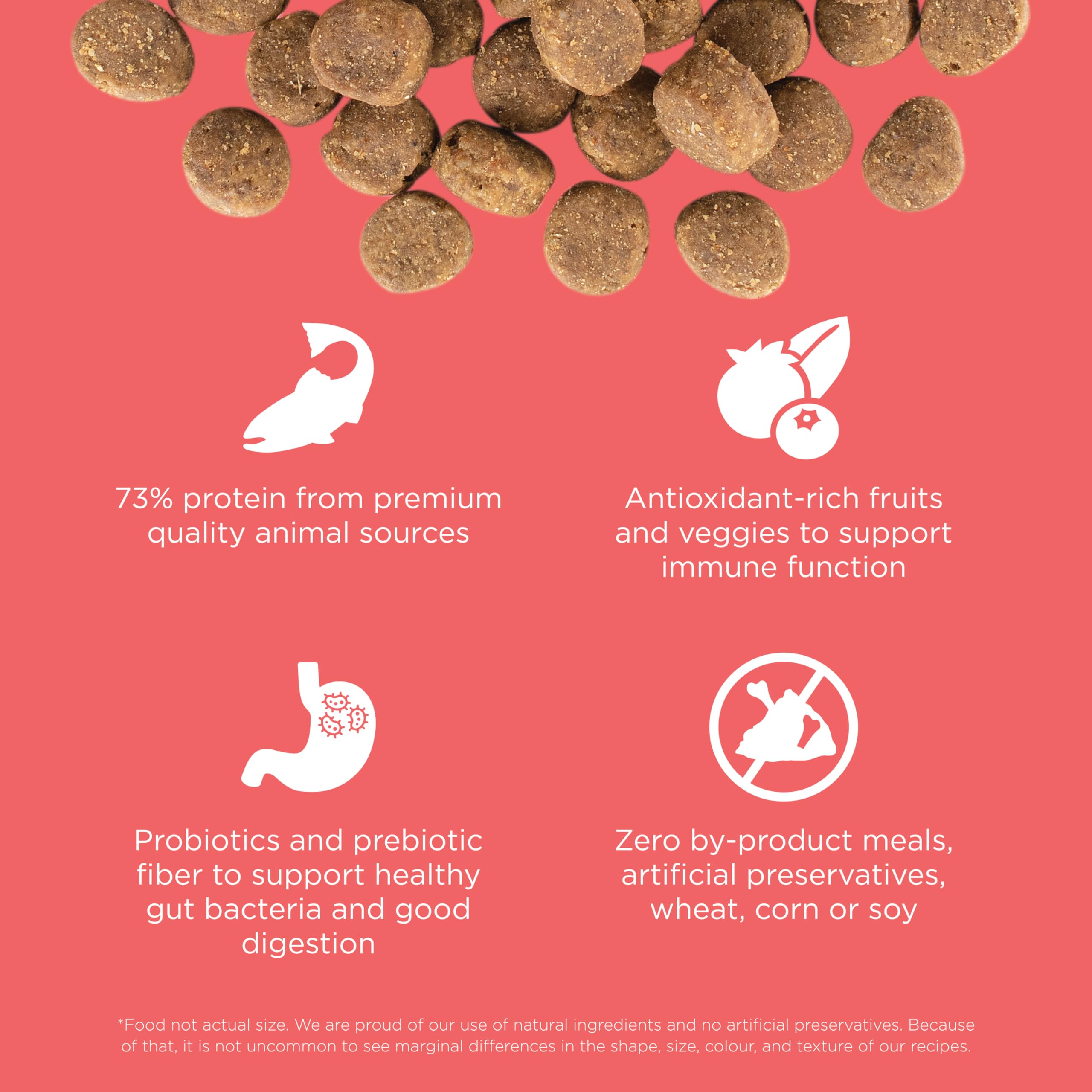 Go! Solutions Carnivore Salmon + Cod Grain-Free Dry Dog Food, Our Highest-Protein Kibble Made with Real Meat & Fish, Chicken-Fre