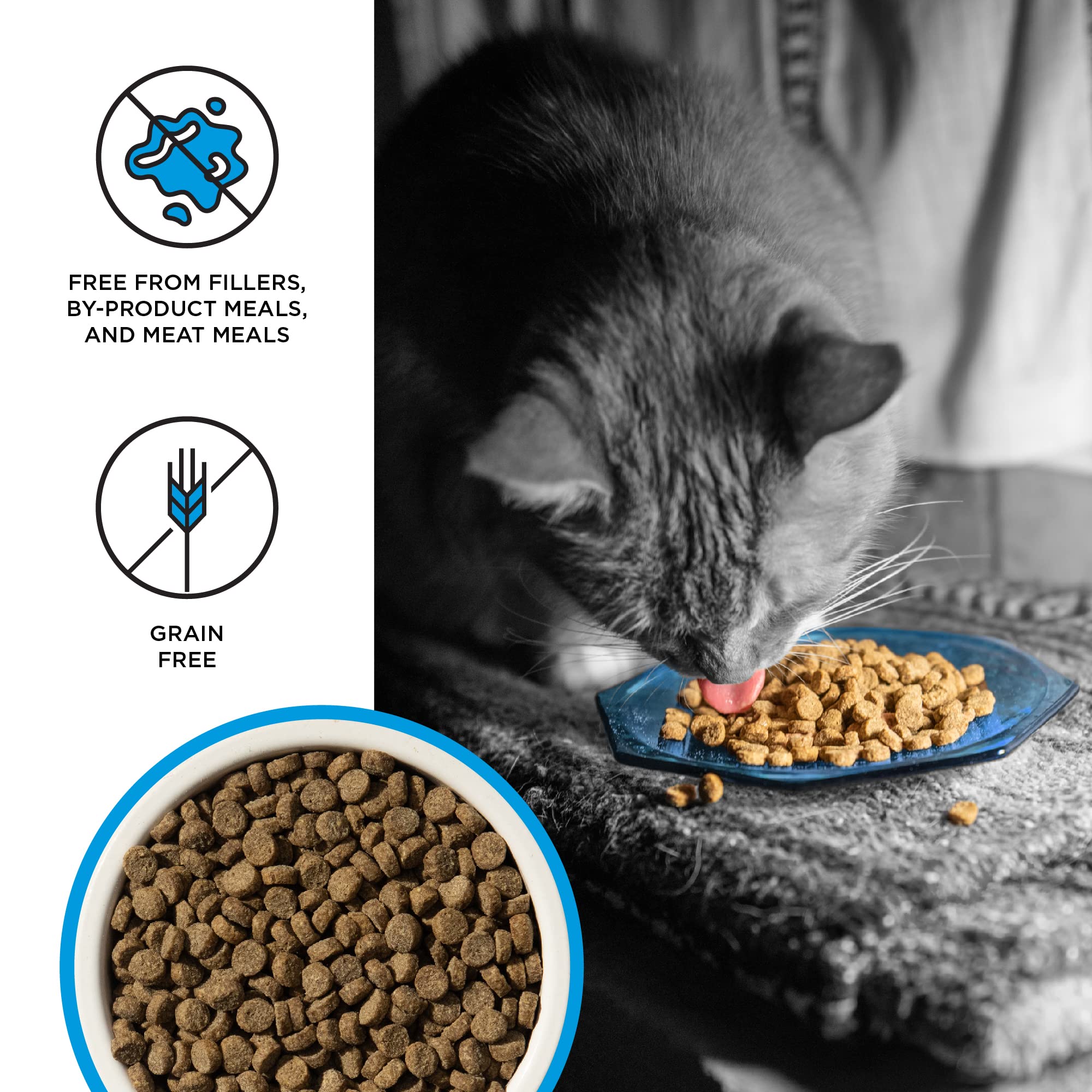 BIXBI Liberty Dry Food for Cats, Salmon Recipe, 3lb, Pack of 1