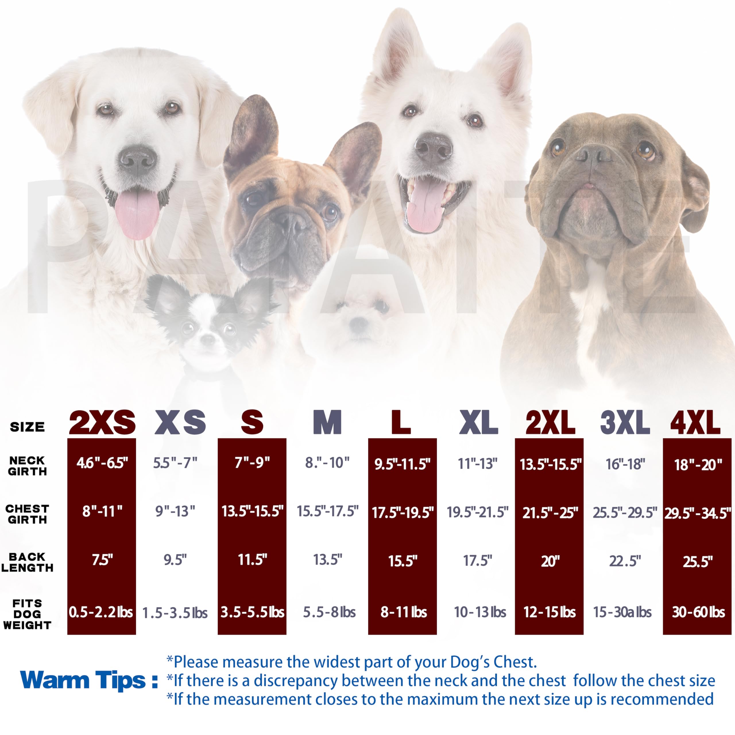 Discover Cozy Cotton Canine Wear: Soft, Lightweight, And Breathable Dog Shirt Vest With Eye-Catching Graphics(Security), Keeping