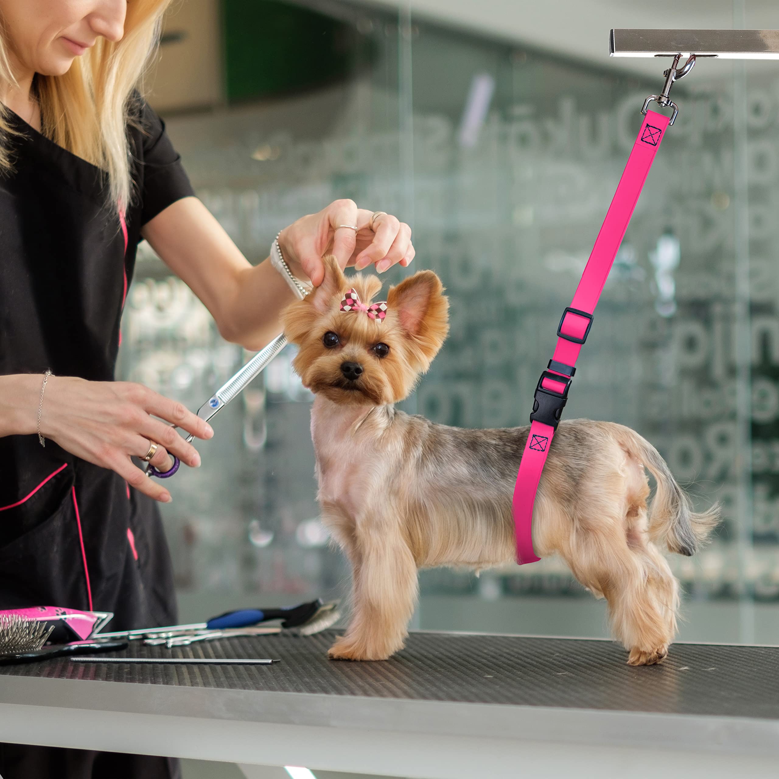 Jelly Pet Dog Belly Loop Restraint For Pet Grooming Table And Tub - Easy To Clean And Waterproof (Teal) | Made In The Usa