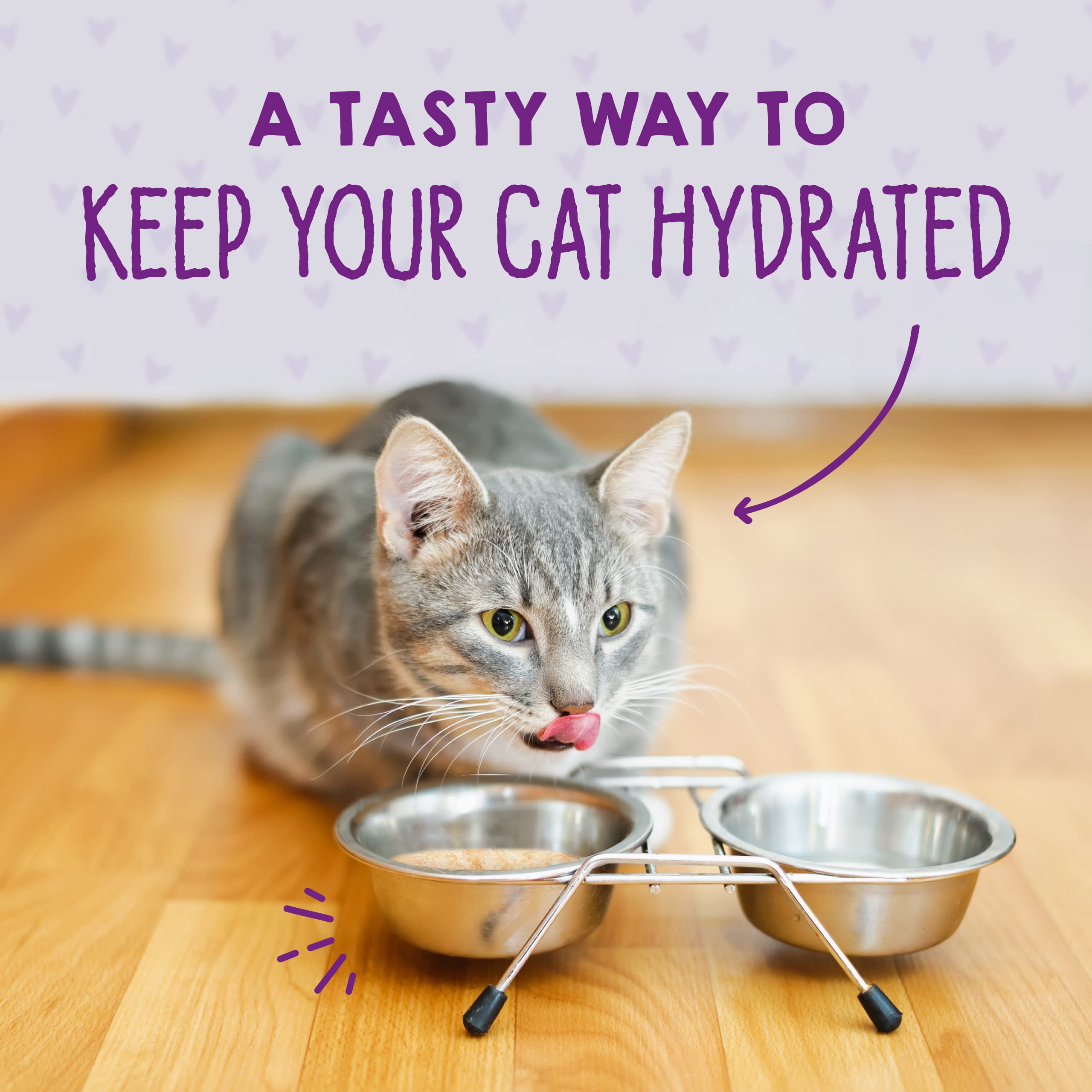 Stella & Chewy s Carnivore Cravings Savory Shreds - Wet Cat Food - High-Moisture Formula with Wild-Caught Tuna & Mackerel - Per