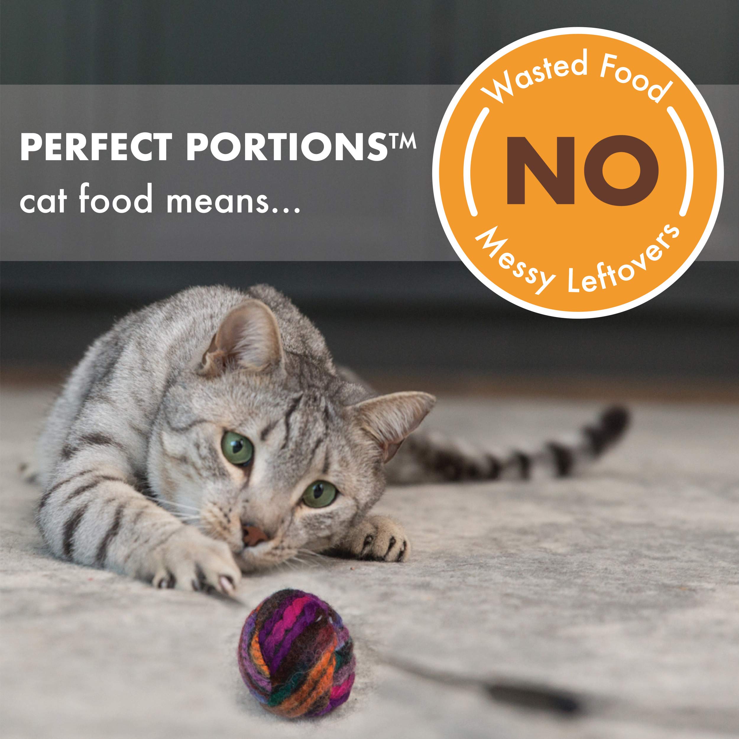 Nutro Perfect Portions Wet Cat Food Cuts in Gravy Multipack: Beef Recipe and Chicken Recipe, 2.64 oz Twin-Pack Trays (12 Count,