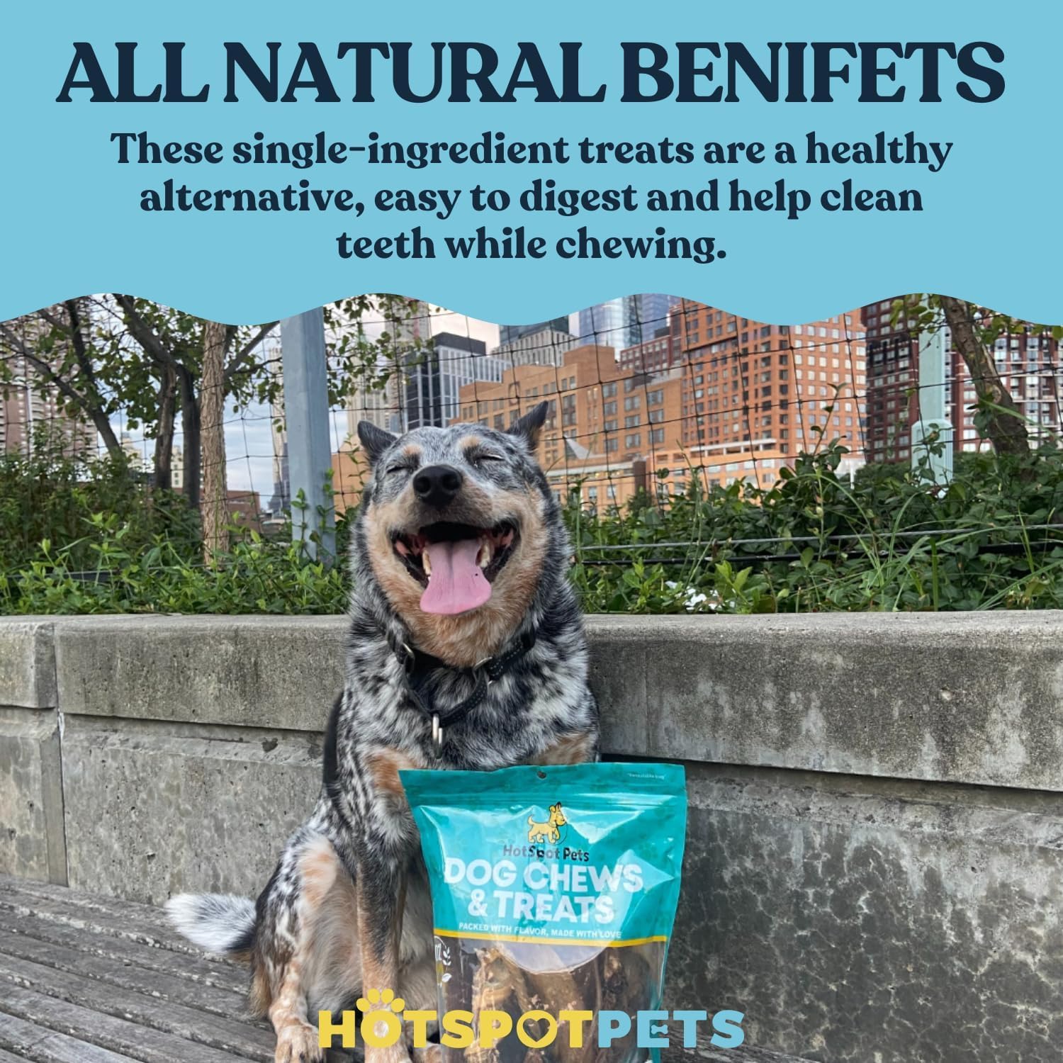 hotspot pets Dehydrated Beef Lung Dog Treats - 2lb Big Bag- All-Natural, One Ingredient - High Protein, Low Fat - Slow Roasted O