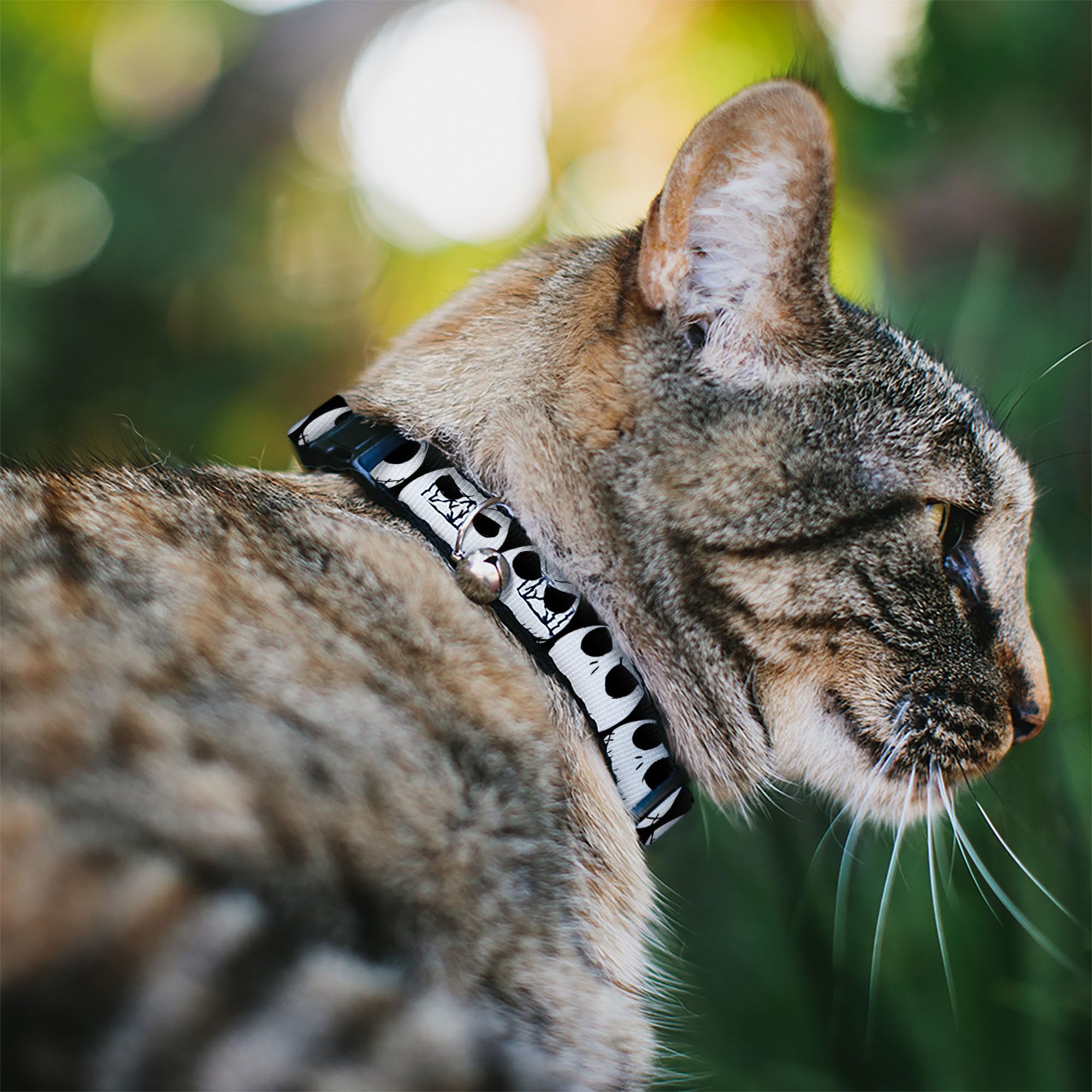 Cat Collar Breakaway Nightmare Before Christmas 7 Jack Expressions Black White 8 To 12 Inches 0.5 Inch Wide