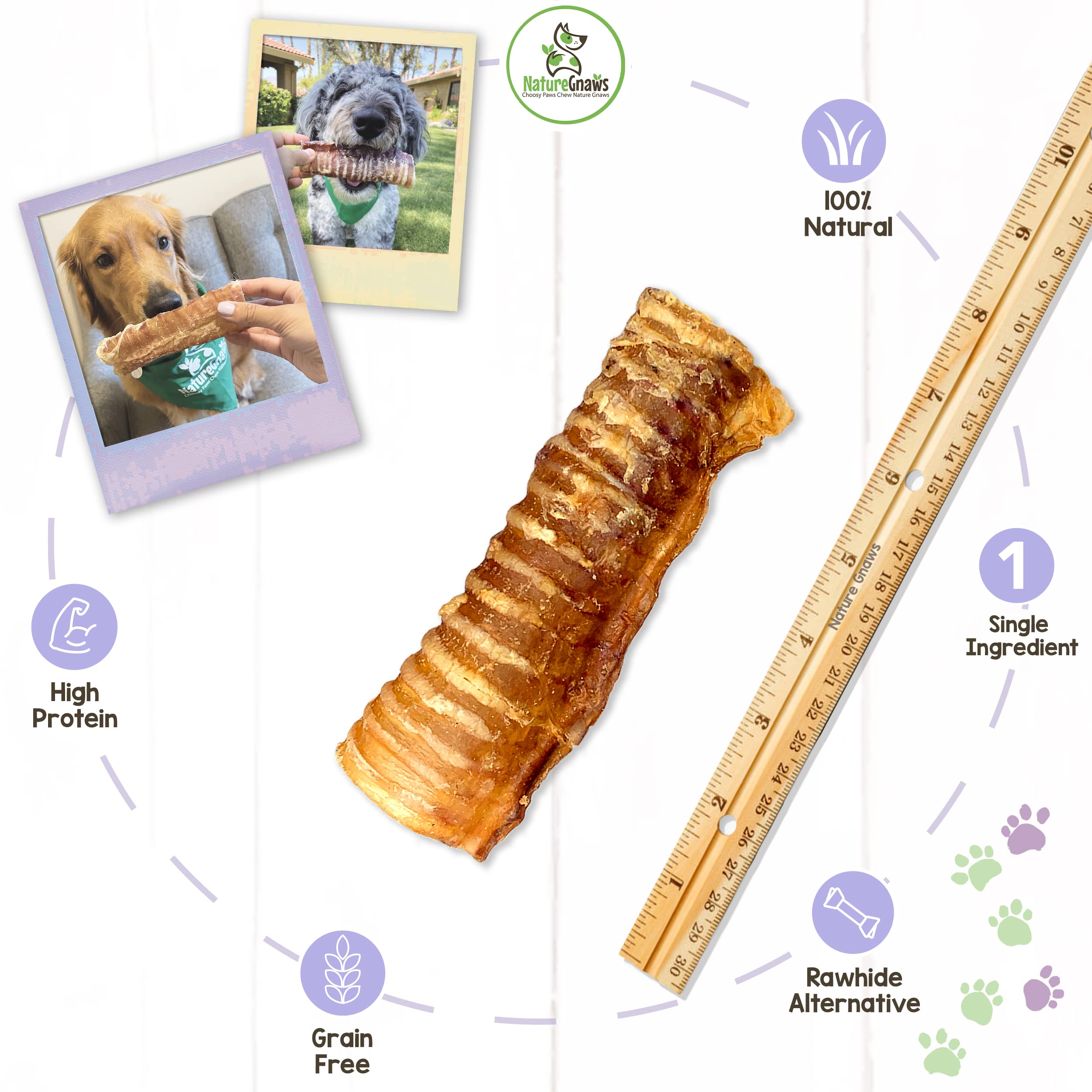 Nature Gnaws Beef Trachea Chews for Dogs 6 (6 Count) - Long Lasting Natural Crunchy Dog Chew Bones - Rawhide Free