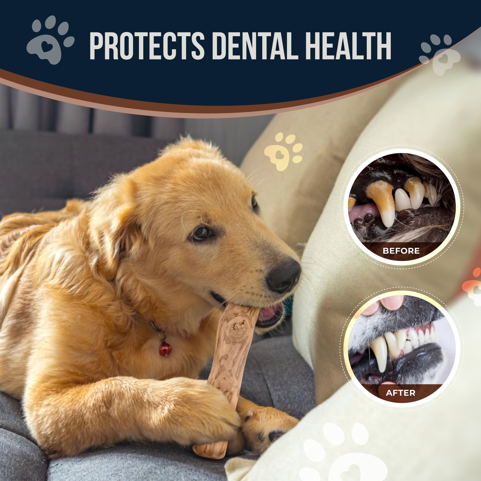 GOWGOW Coffee Wood Dog Chew & Rope Toys Set of 2, 100% Natural, Medium Size, Ideal for Teeth Cleaning and Training