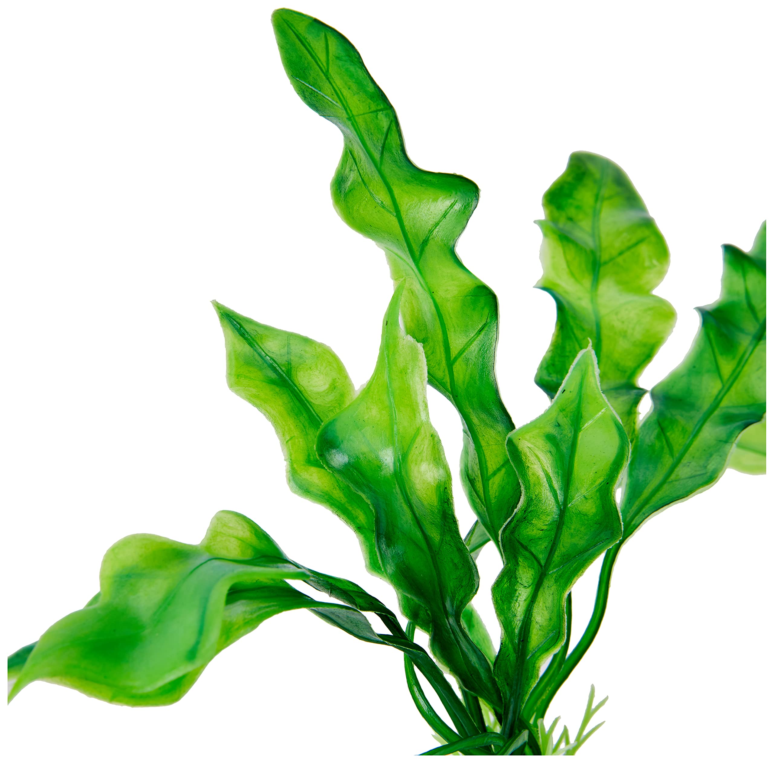 Biorb Easy Plant Pack, Small (Pack Of 2)