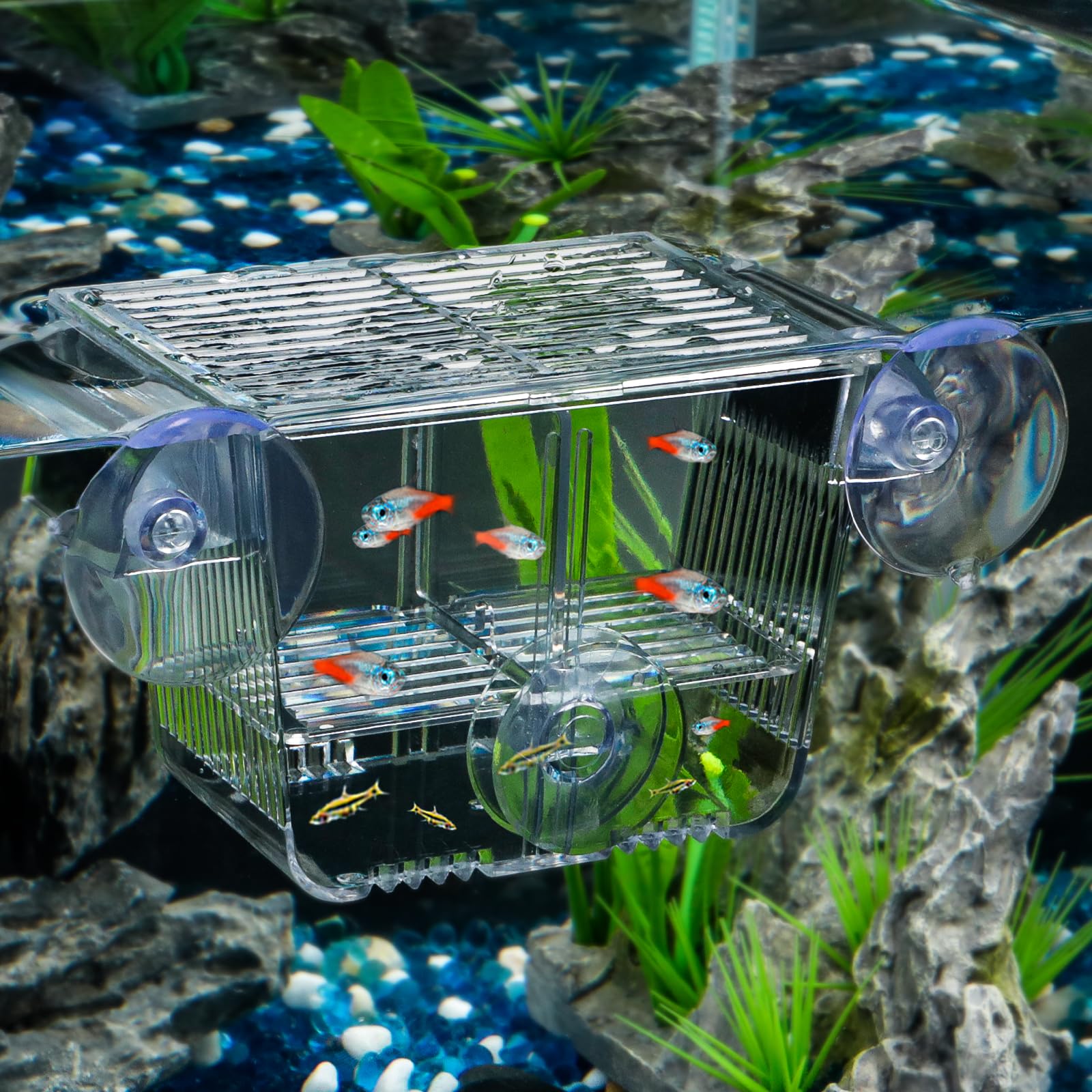 Pawfly Aquarium Fish Breeding Box, Acrylic Fish Isolation Box With 6 Suction Cups, Aquarium Acclimation Hatchery Incubator For B