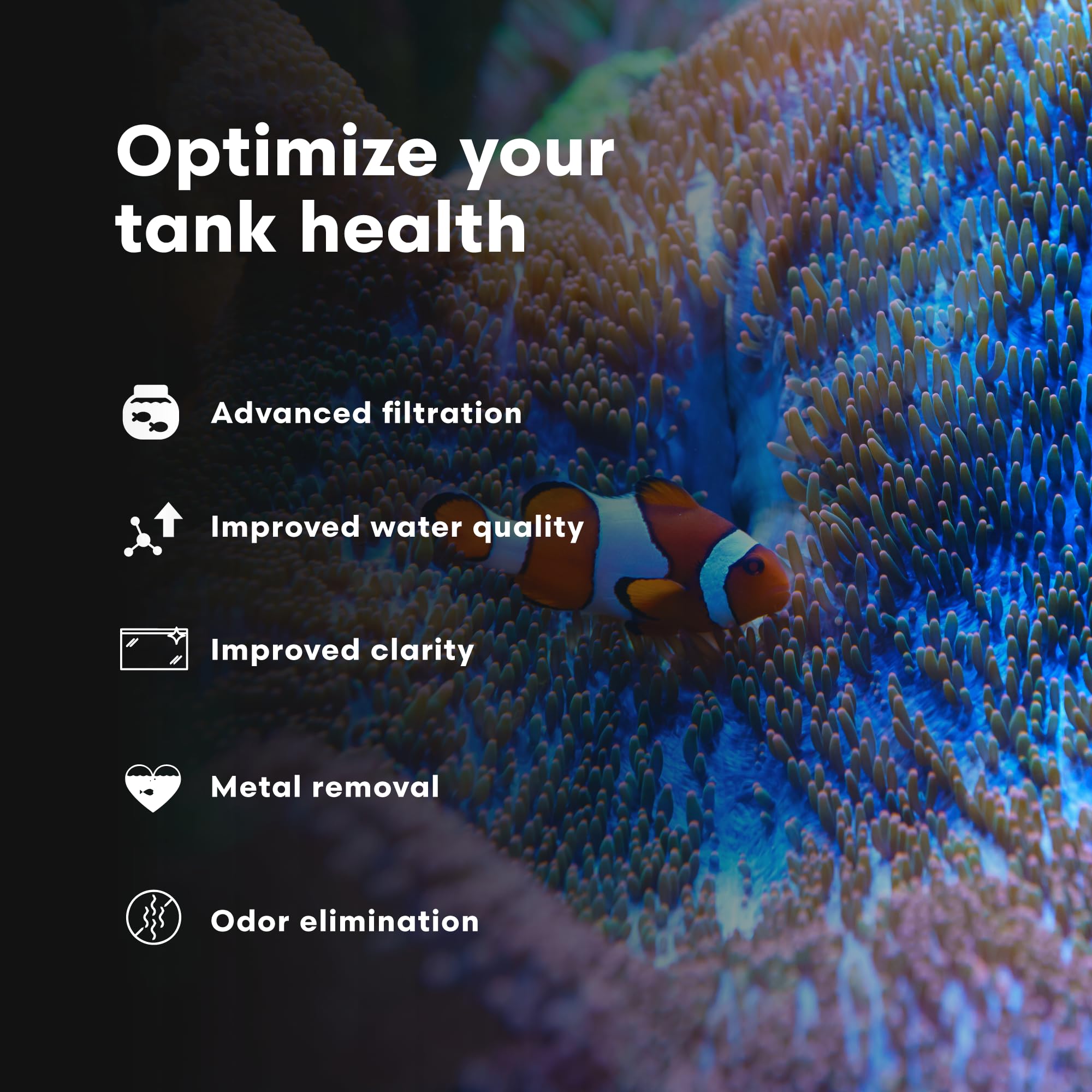 Brightwell Aquatics - Purit Next-Generation Chemical Filtration Media - for use in All Marine and Freshwater Aquaria - Aquarium