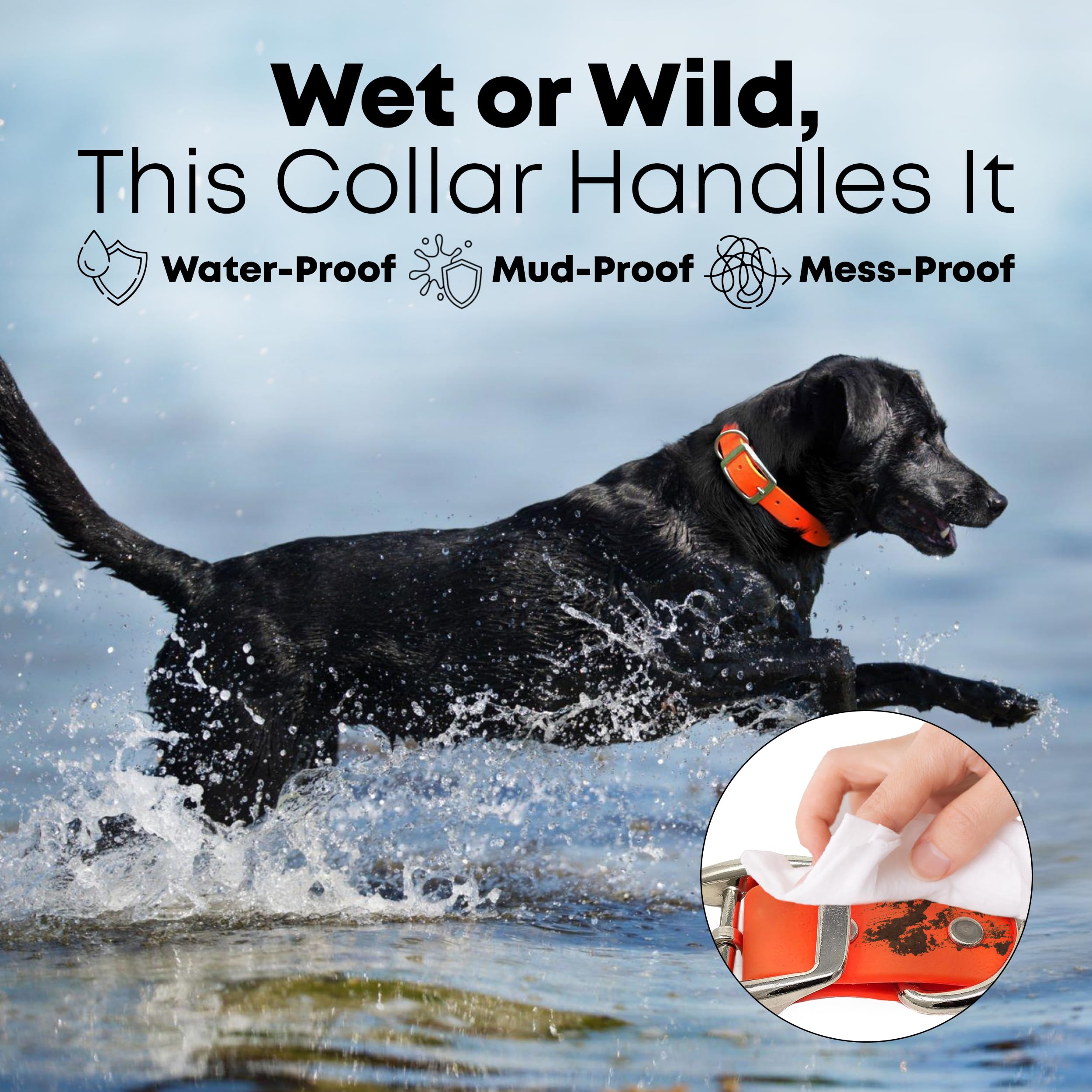 Regal Dog Products Large Orange Waterproof Dog Collar And Leash Set - Vinyl Coated Biothane Pet Training Collar With Heavy Duty