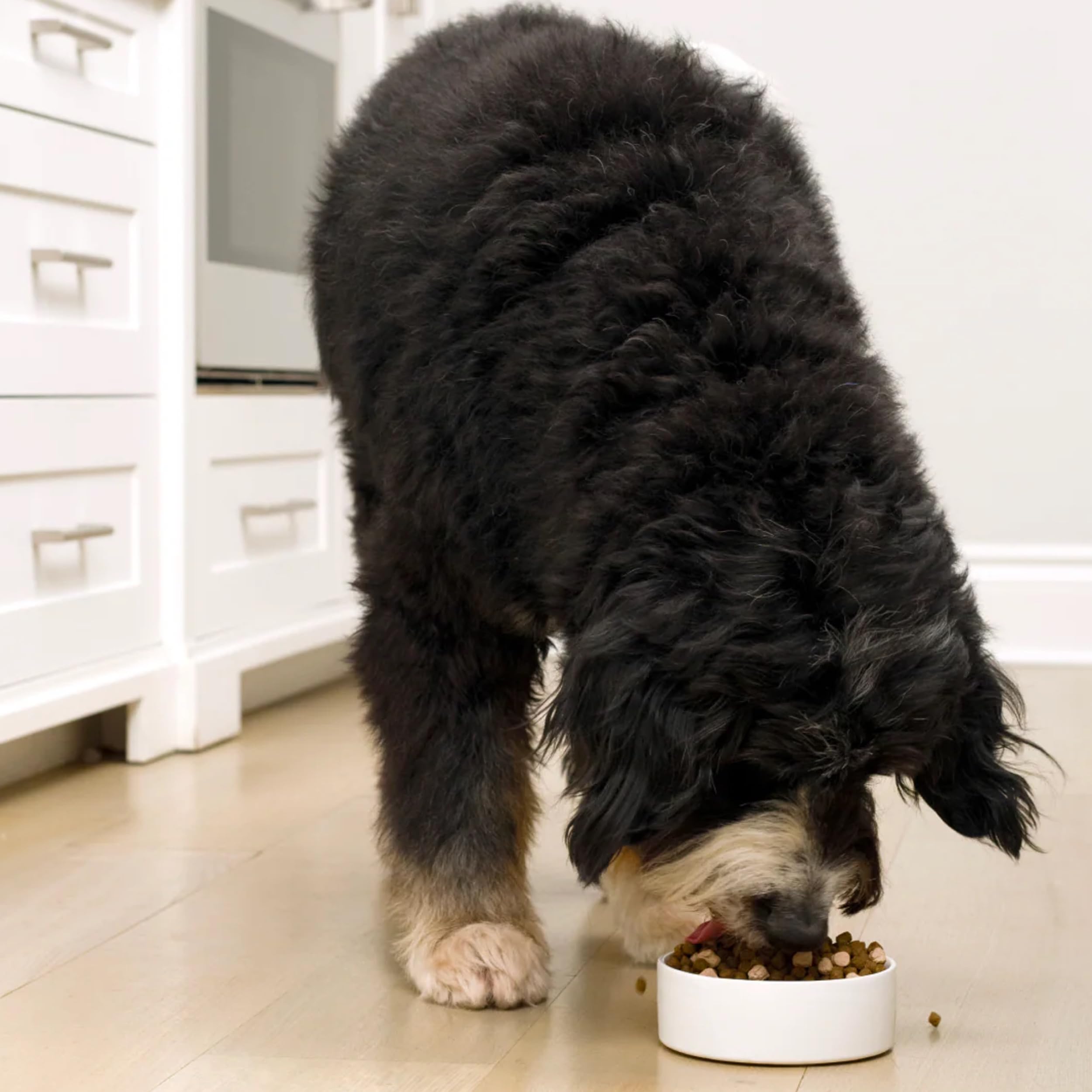 Open Farm, RawMix Grain-Free Dry Dog Food, Protein-Packed Kibble Coated in Bone Broth with Freeze Dried Raw Chunks, Pollock Beef