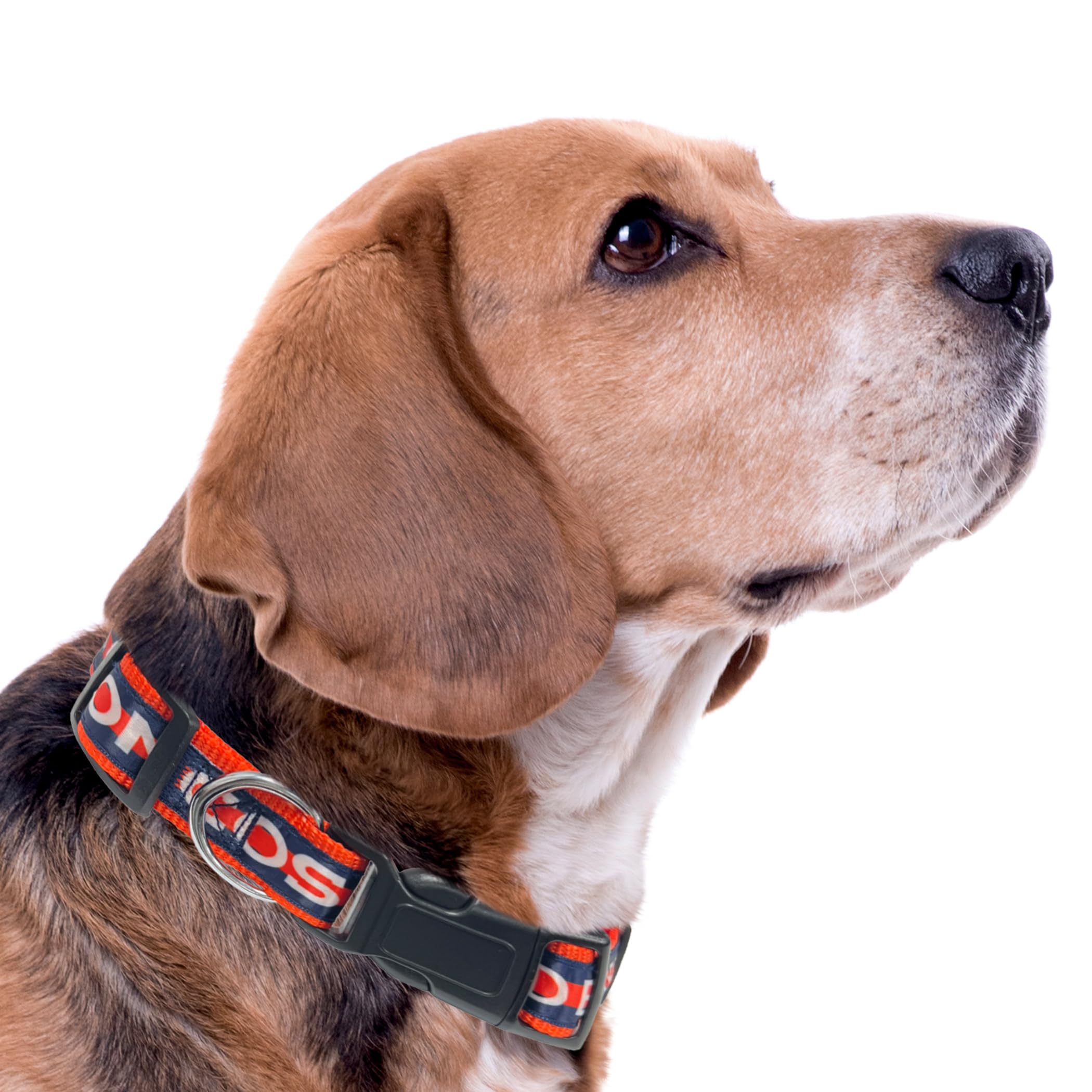 Pets First NFL Denver Broncos Licensed PET COLLAR, Medium - Heavy-Duty, Strong, and Durable Dog Collar. Available in 31 Football