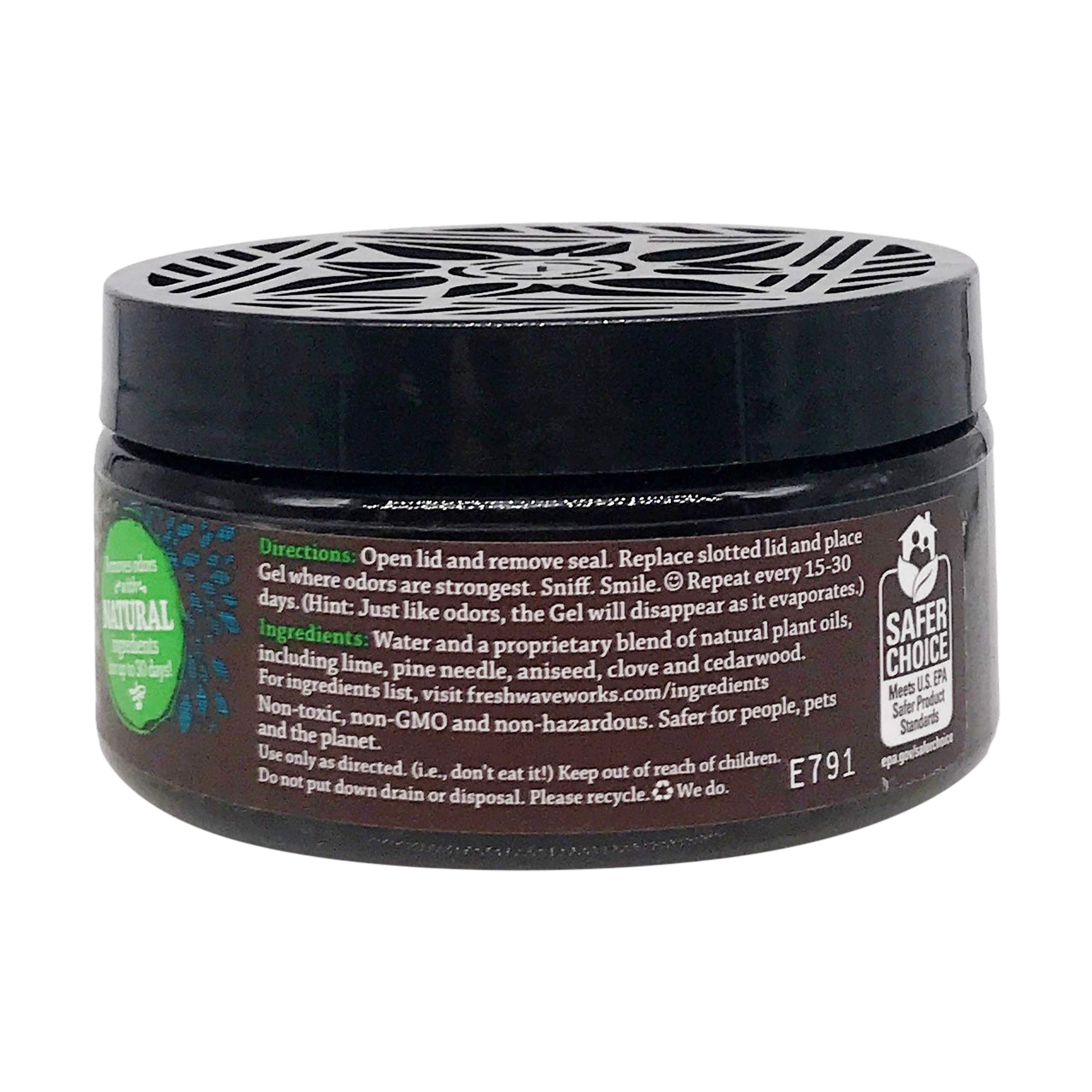 Fresh Wave 065 Fresh Wave Odor Removing Gel