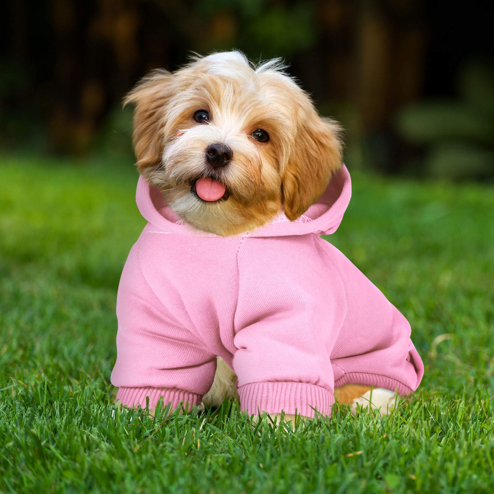 2 Pieces Winter Dog Hoodie Warm Small Dog Sweatshirts with Pocket Cotton Coat for Chihuahua Clothes Puppy Costume(S,Pink, Light