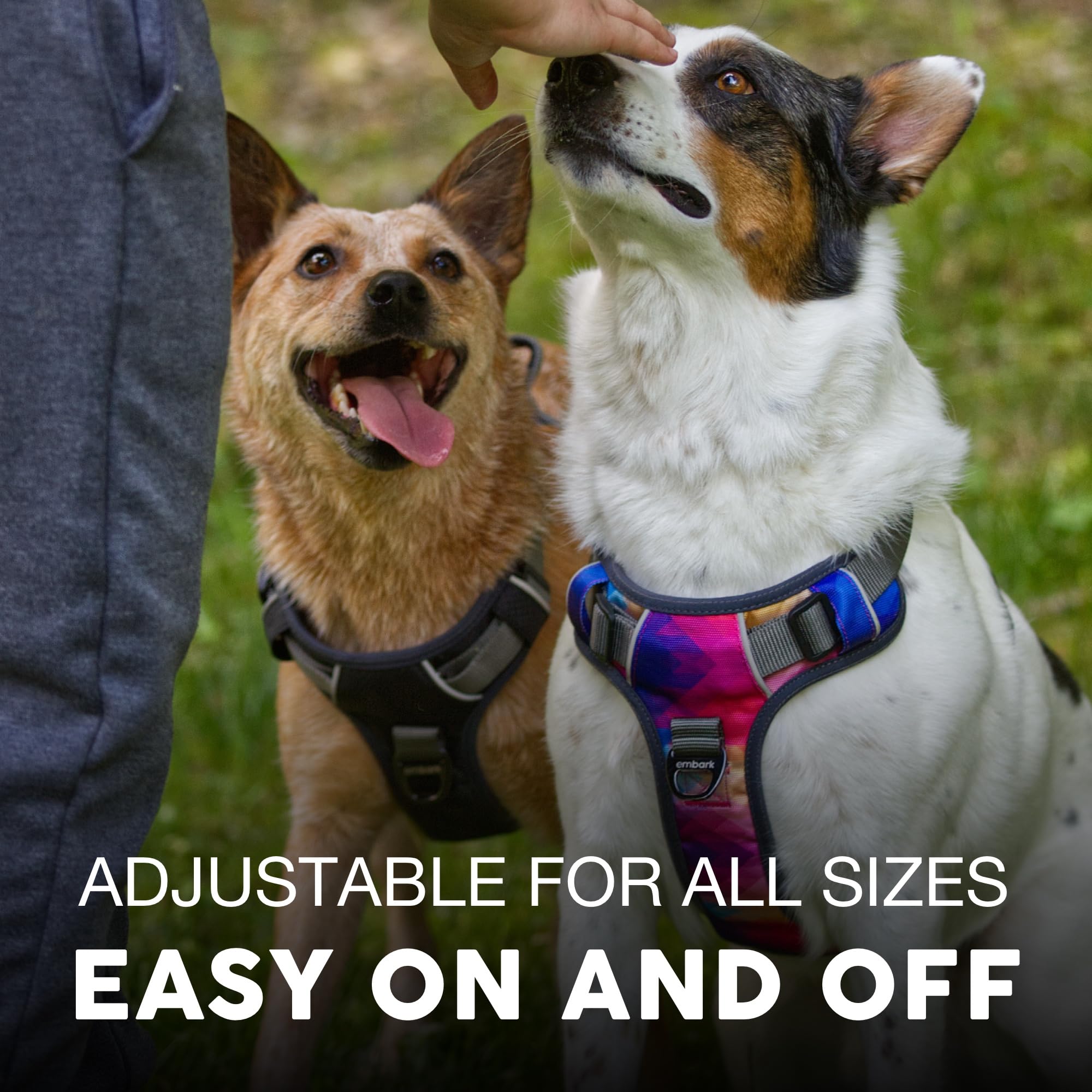 Embark Urban Dog Harness, Reflective Trim No Pull Dog Harness For Large Dogs - Military Grade Nylon, Front Clip Dog Harness With Gel Lined Handle. Soft & Padded Puppy Dog Harnesses For Any Breed