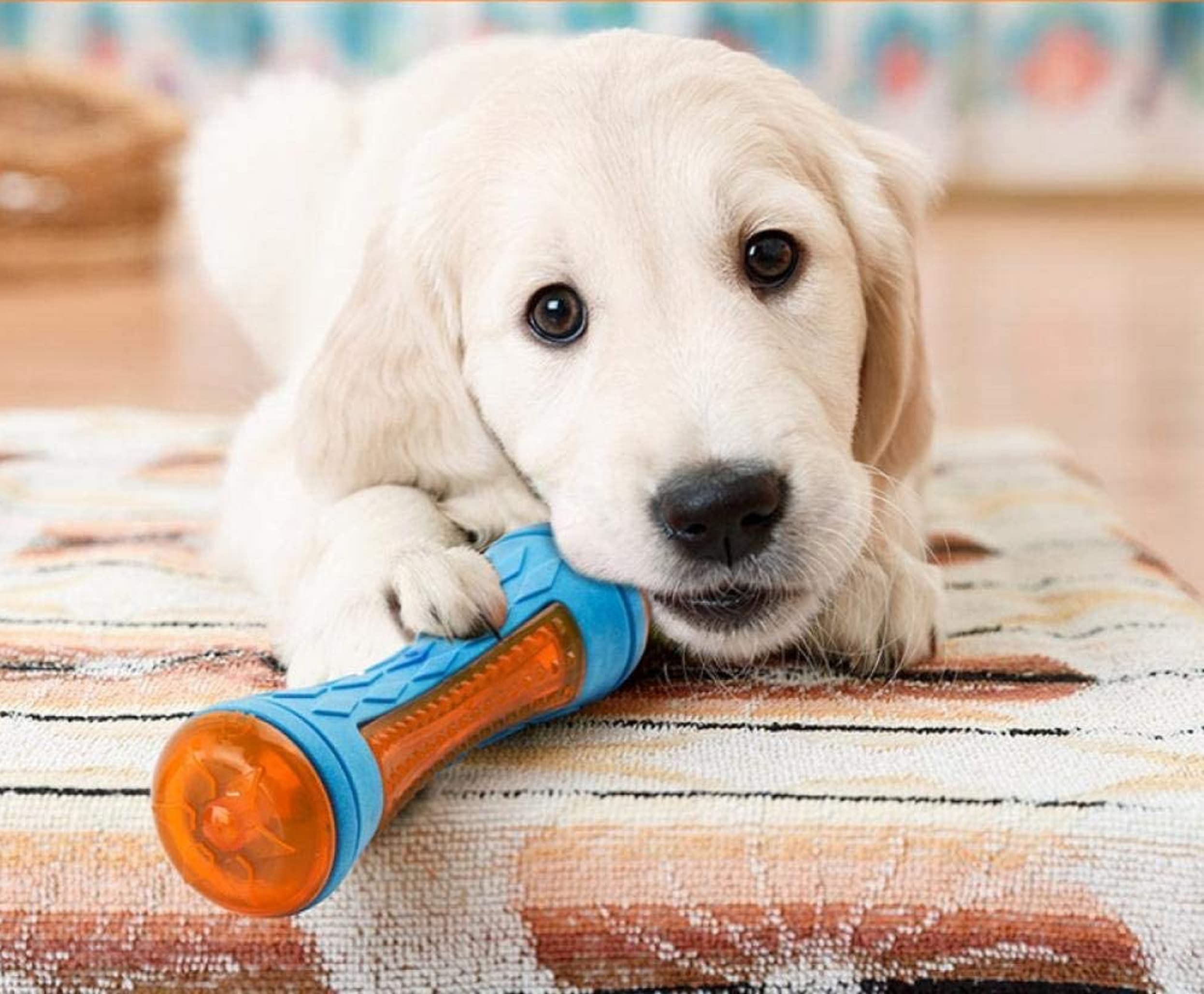 Pups&Pets Big Rubber Durable Floating Stick Led With Squeaker Sound Chew Toy Ideal For Chewing/Playing Dogs And Puppies (Colour 