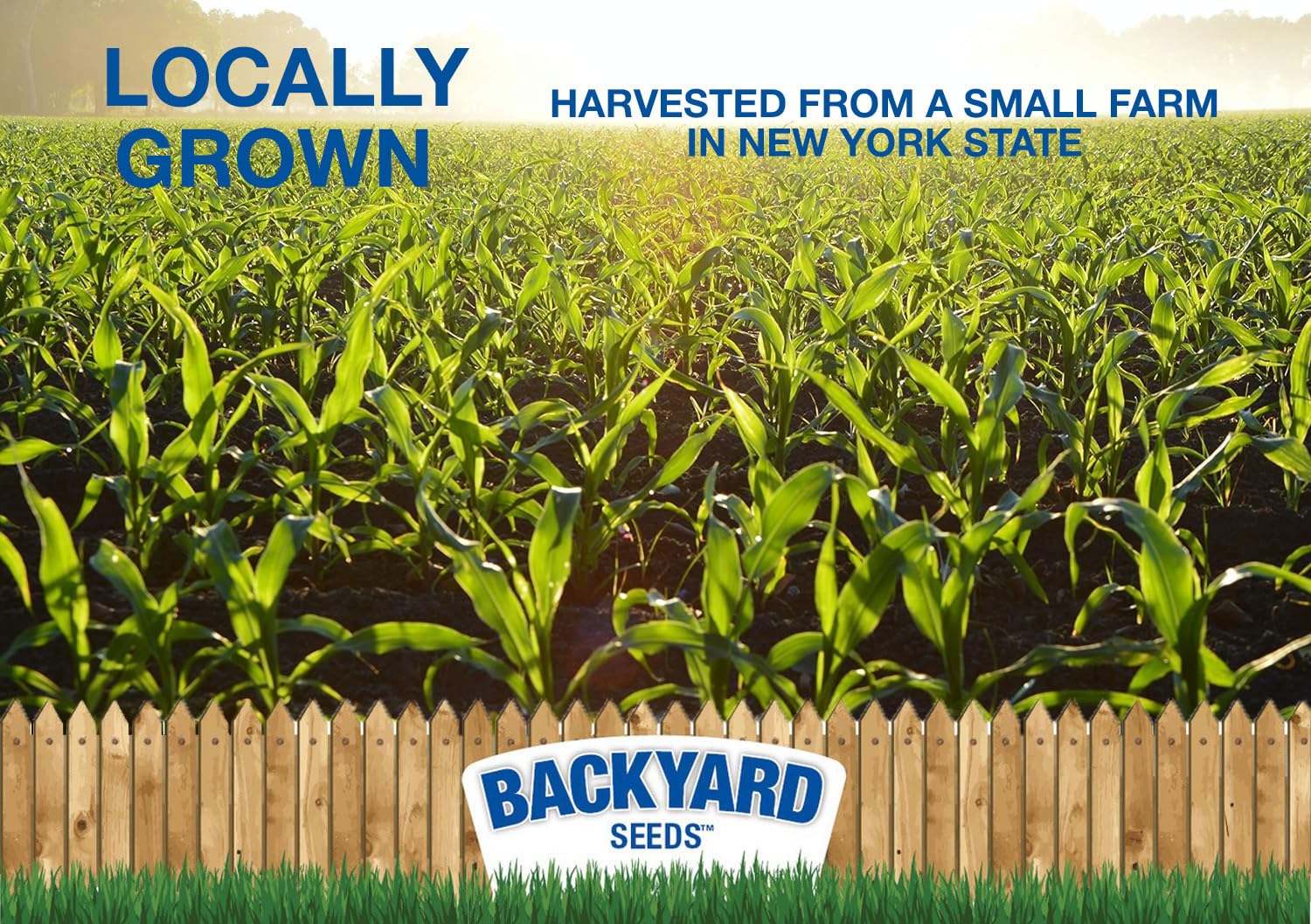 CountryMax Cracked Corn for Birds, Turkeys, Wildlife, Chickens (50 Pounds)