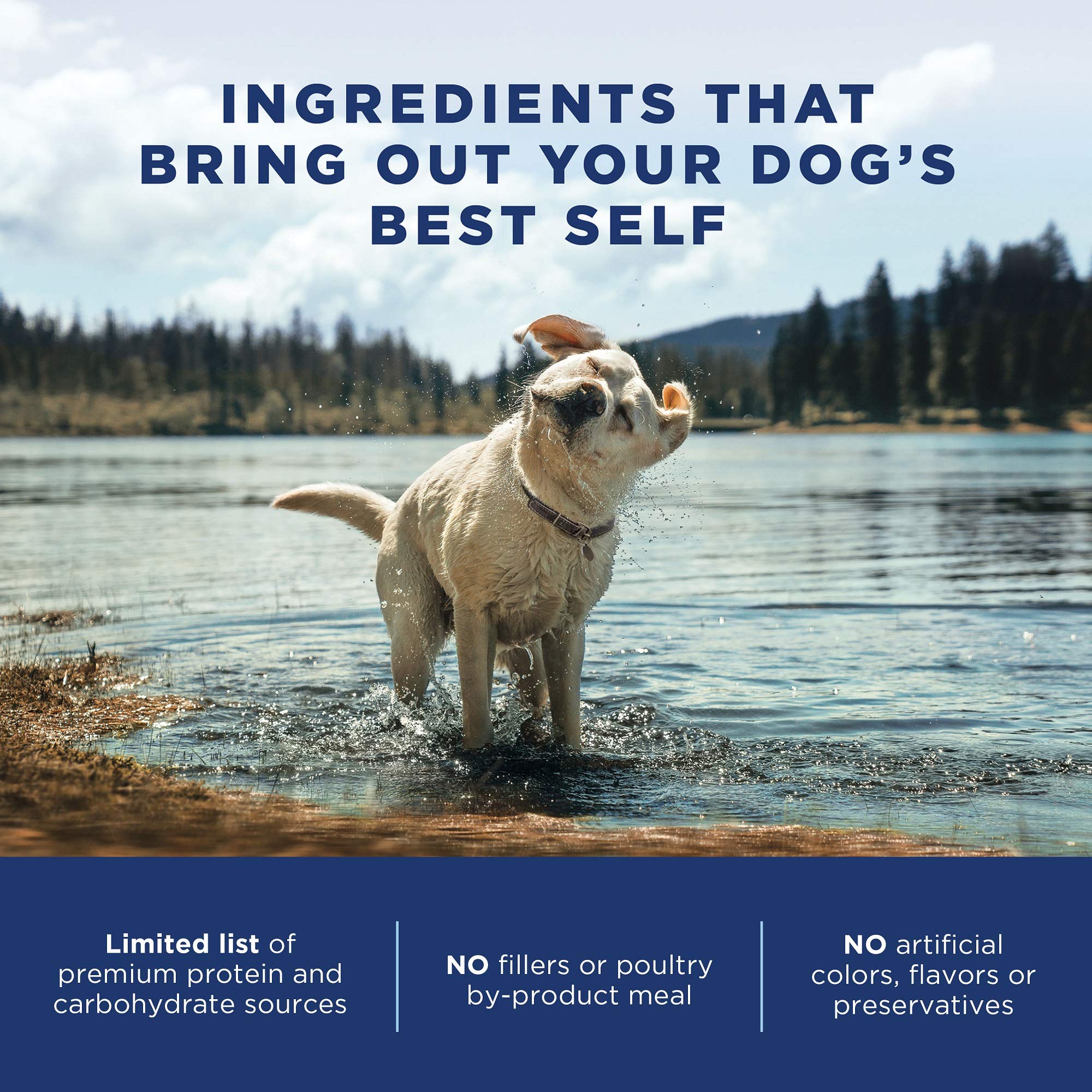 Natural Balance Limited Ingredient Diet Duck & Potato Adult Grain-Free Dry Dog Food 24-lb. Bag