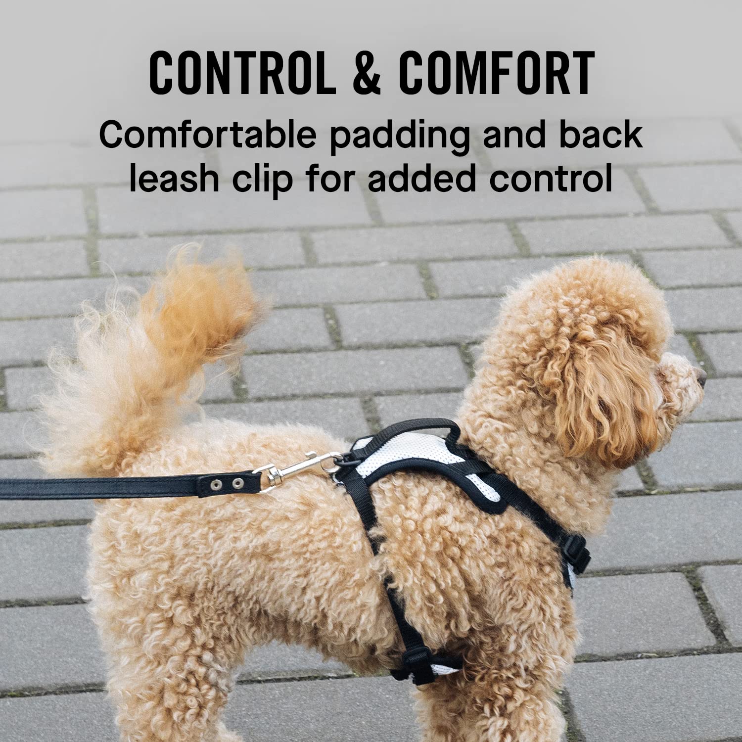 Canada Pooch Everything No Pull Dog Harness - Easy Walk Harness For Dogs With Breathable Mesh Exterior, Adjustable Dog Walking Harness Great For Dogs Reflective/M