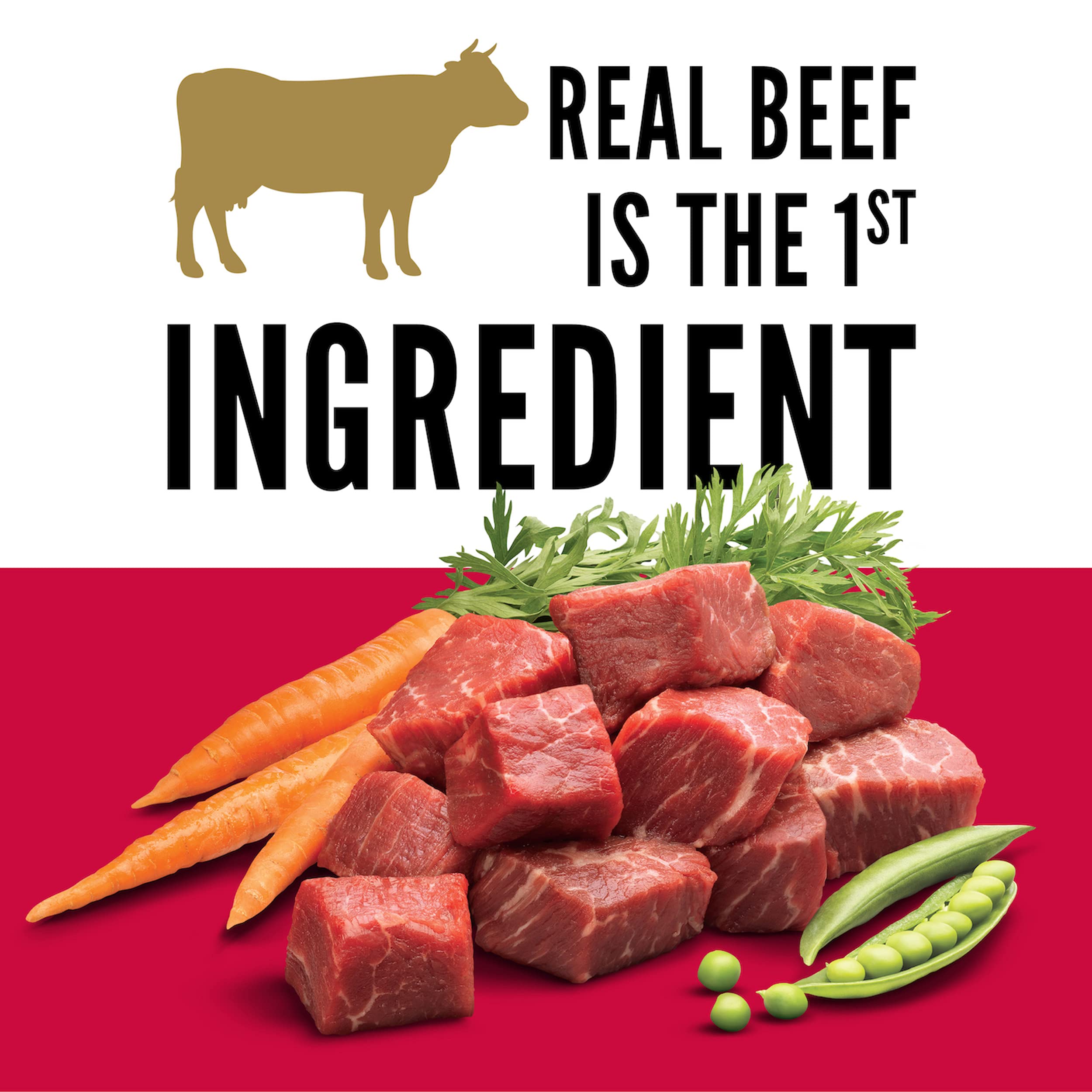 CESAR Small Breed Dry Dog Food Porterhouse Flavor and Spring Vegetables Garnish, 5 lb. Bag