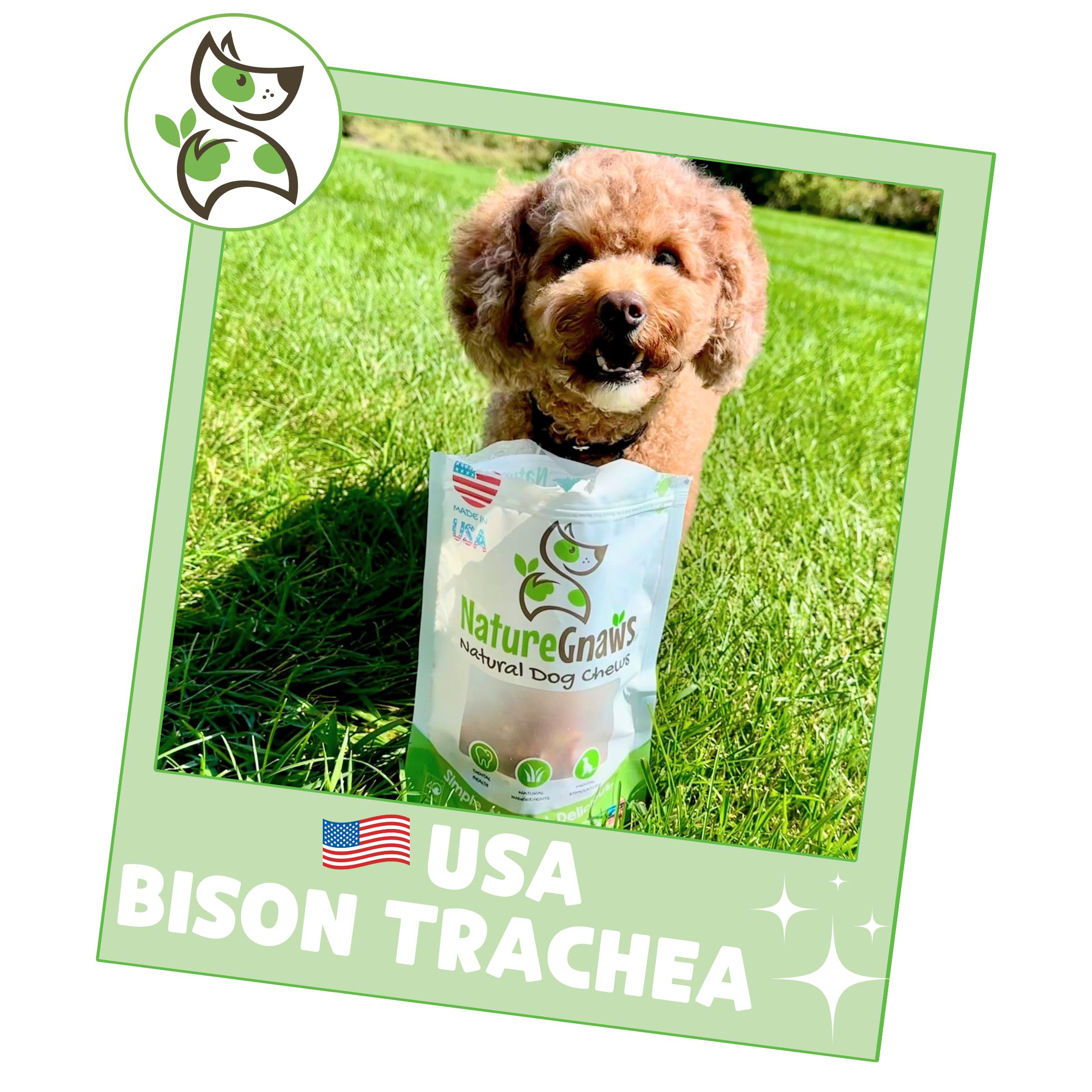 Nature Gnaws USA Smoked Bison Trachea Rings for Dogs (1Lb) - Delicious Grain Free Long Lasting Chew - Premium Natural Dog Chew B