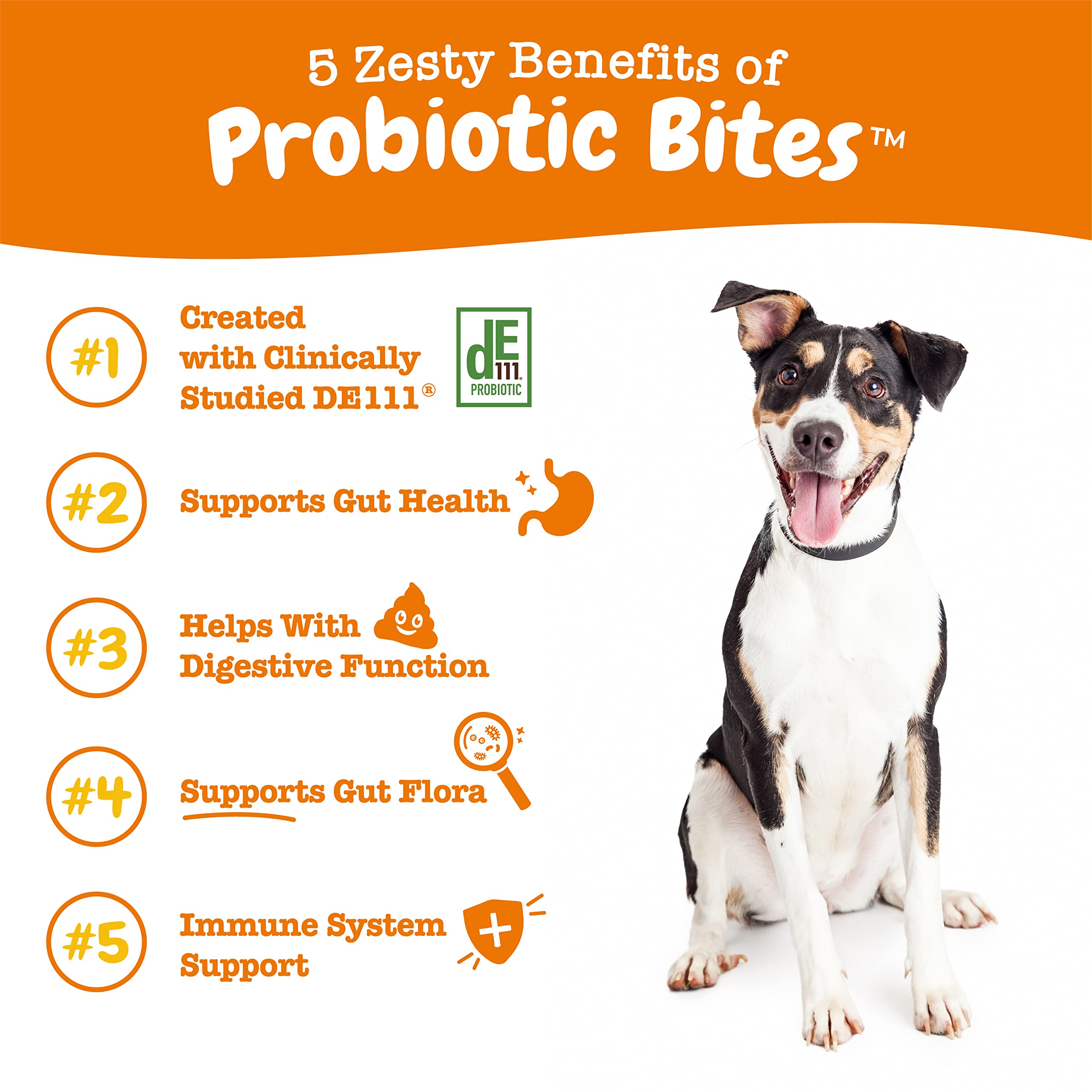 Zesty Paws Probiotic for Dogs - Probiotics for Gut Flora, Digestive Health, Occasional Diarrhea & Bowel Support - Clinically Stu
