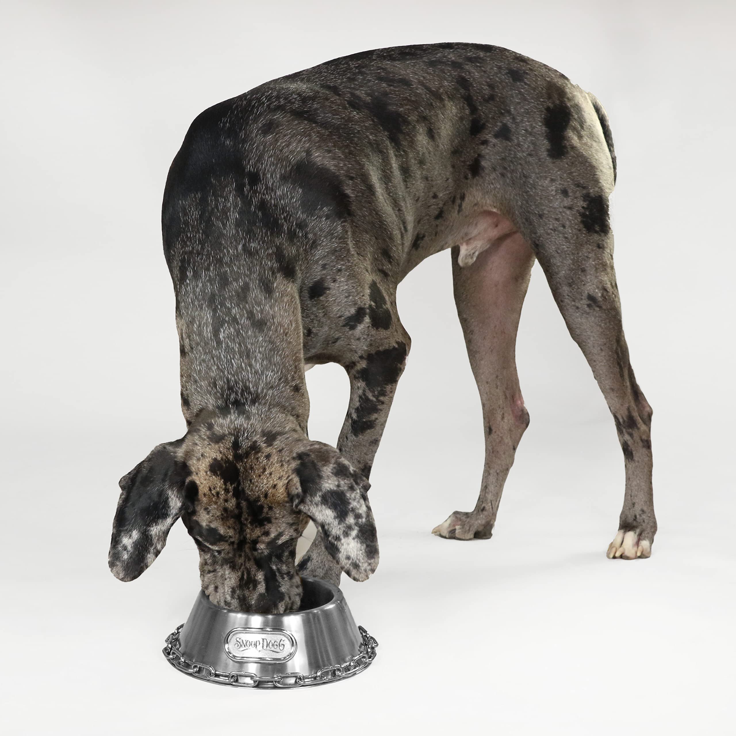 Snoop Doggies Doggs Deluxe Off The Chain Pet Bowl, Steel, Large