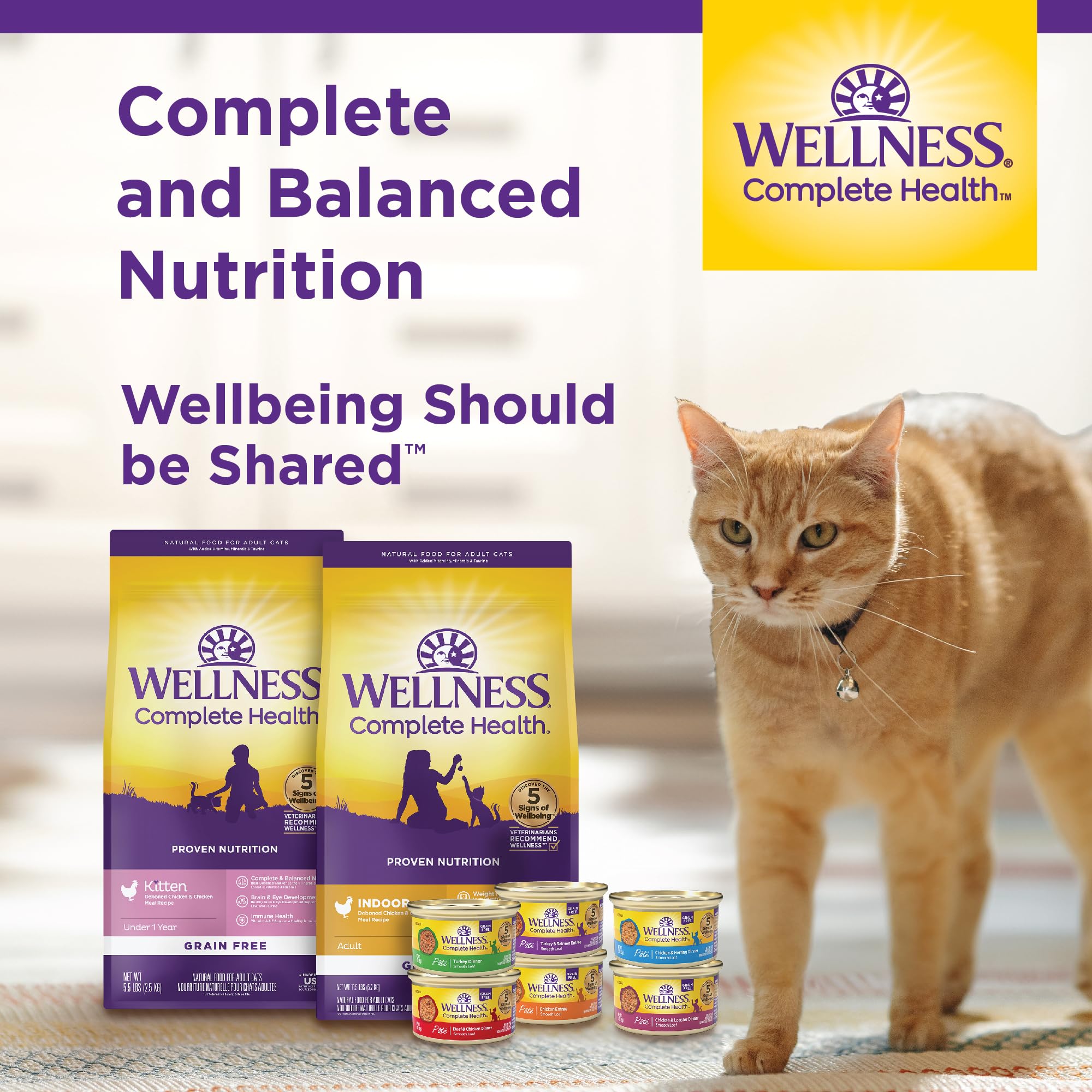 Wellness Complete Health Grain-Free Wet Canned Cat Food, Natural Ingredients, Made with Real Meat, All Breeds, Smooth Pate (Beef