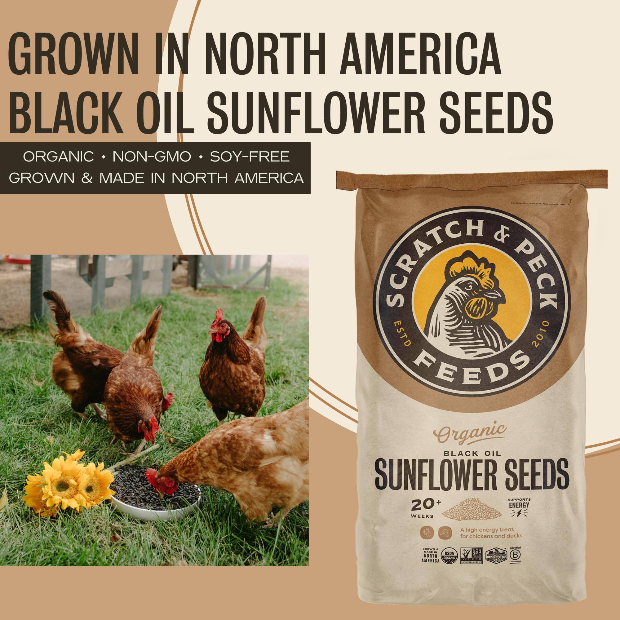 Scratch and Peck Black Oil Sunflower Seeds Chicken and Duck Treat - 25 lbs Bag - 15% Protein, Certified Organic and Non-GMO Proj