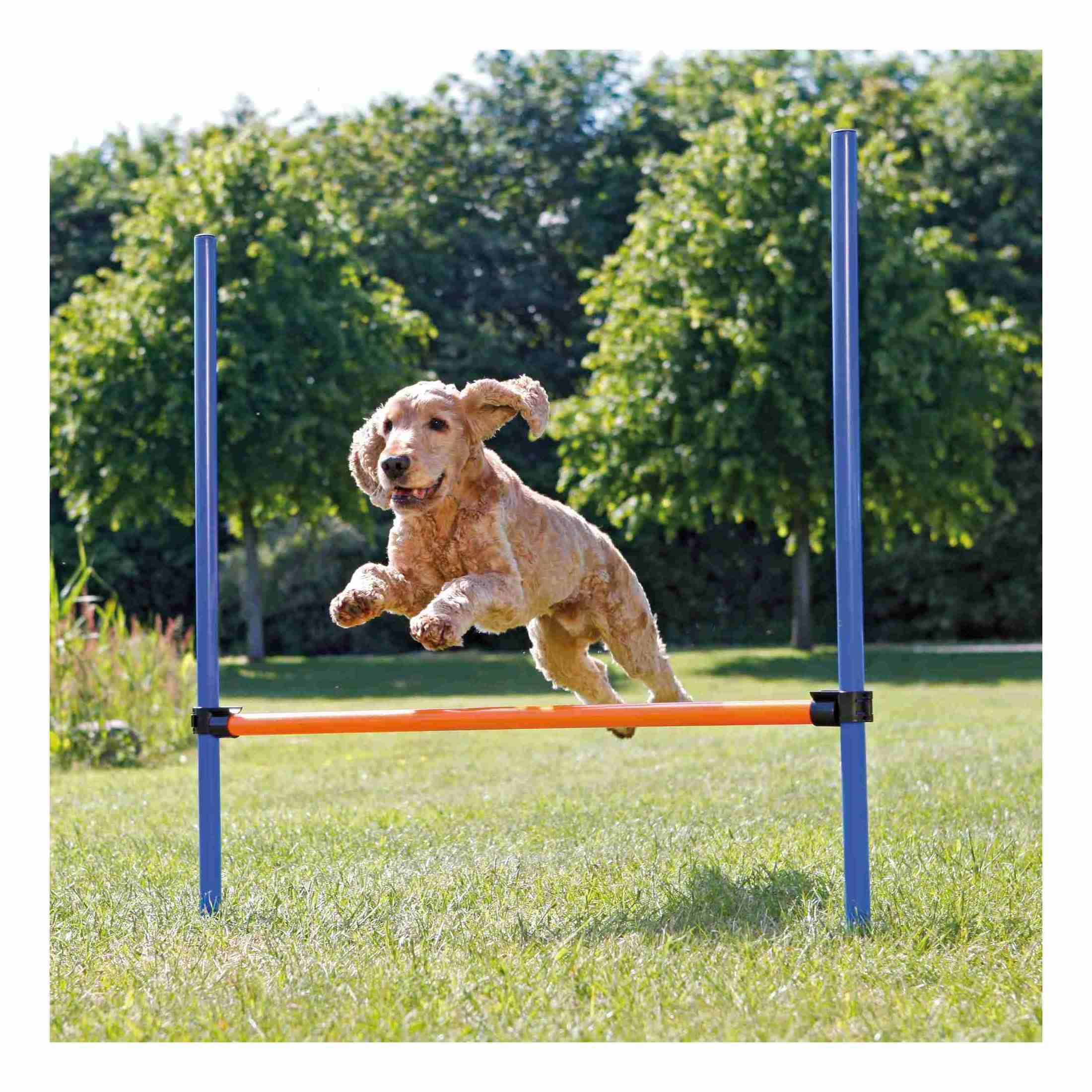 TRIXIE Agility Hurdle Adjustable Dog Jump, Ideal for Beginners & Advanced, Dog Obstacle Course Equipment 1 x Hurdle