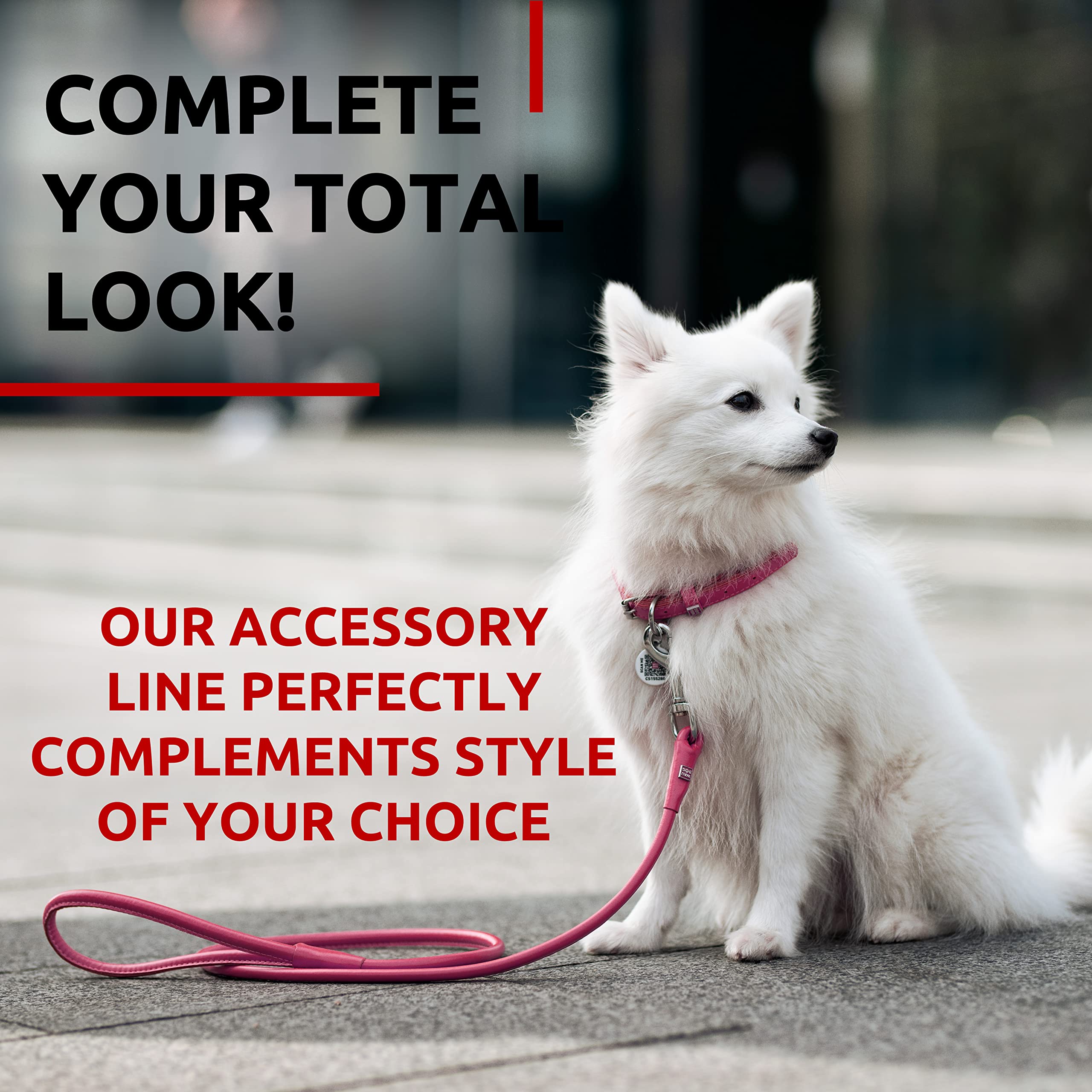 Waudog Rolled Leather Dog Leash 4Ft * 0.3 In For Small Medium And Large Dogs - Heavy Duty Leather Puppy Leash For Outdoor Walkin