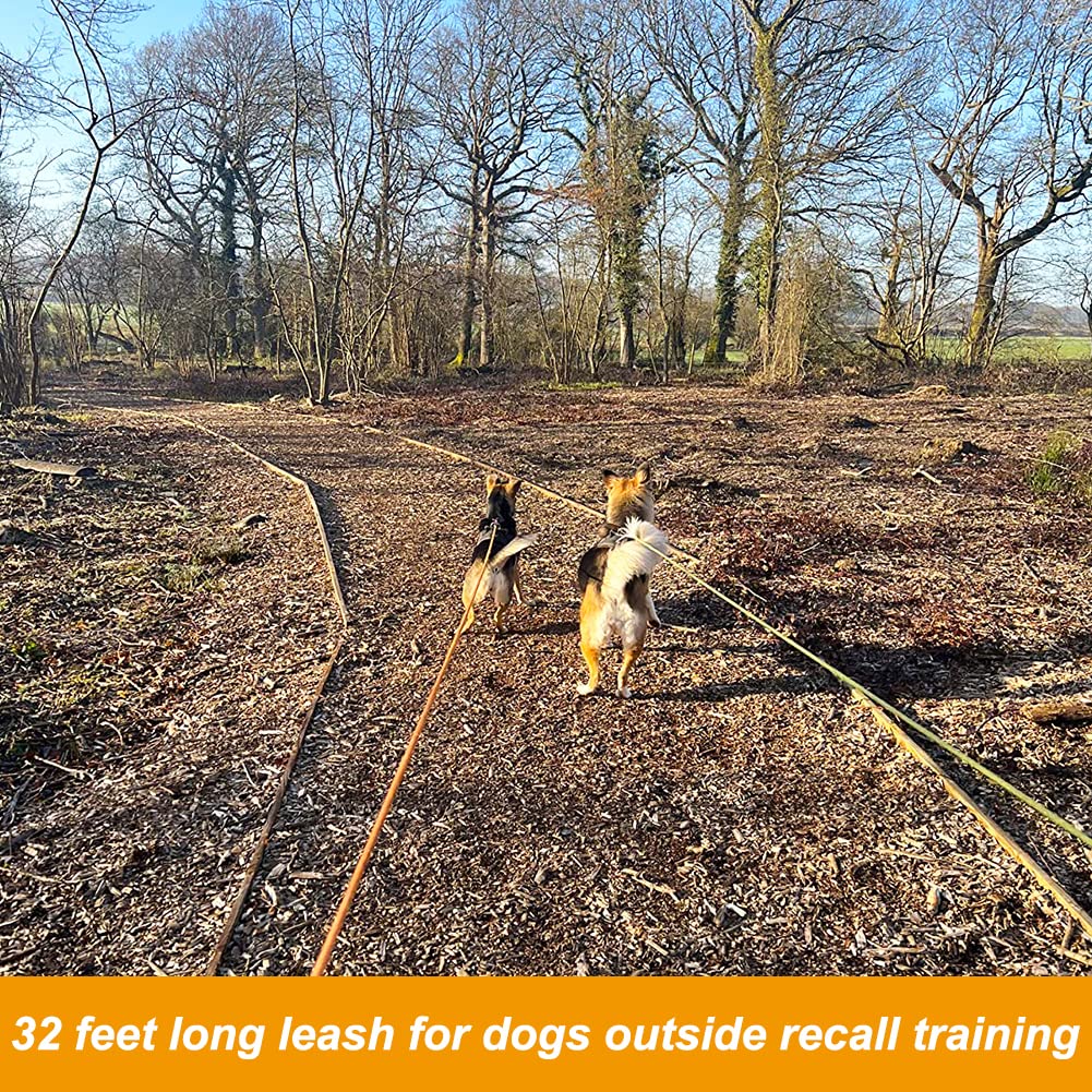 Vivifying Long Dog Leash, 32Ft Reflective Dog Training Leash For Outside And Yard, Floating Long Line Lead With Soft Handle For Camping, Hiking, Swimming, Beach And Lake (Orange)