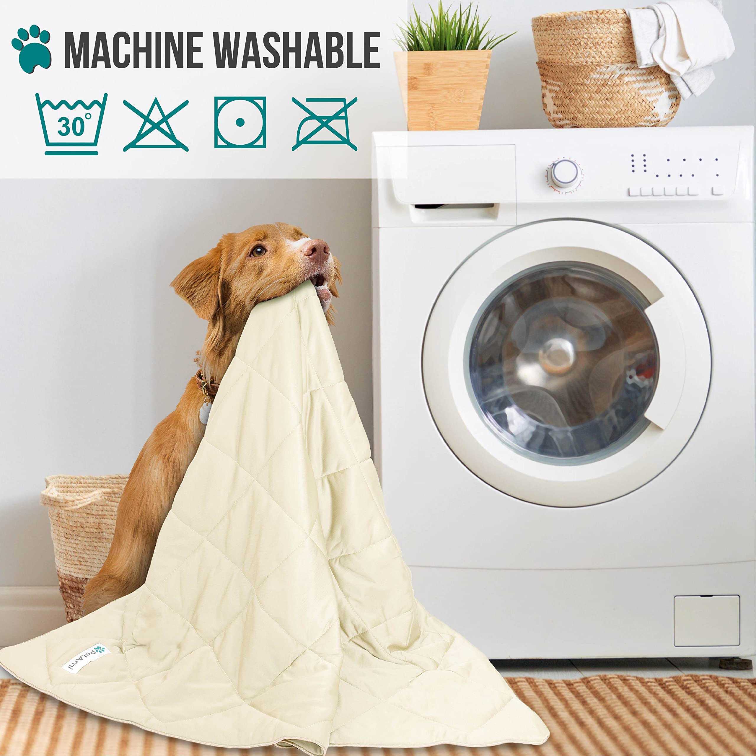 Petami Premium Cooling Dog Blanket | Lightweight Fluffy Pet Throw Blanket Bed Cover For Dogs, Cat, Puppies | Pet Blanket Furniture Protector Couch Sofa | Reversible Fuzzy Cozy | 29X40, Beige Latte